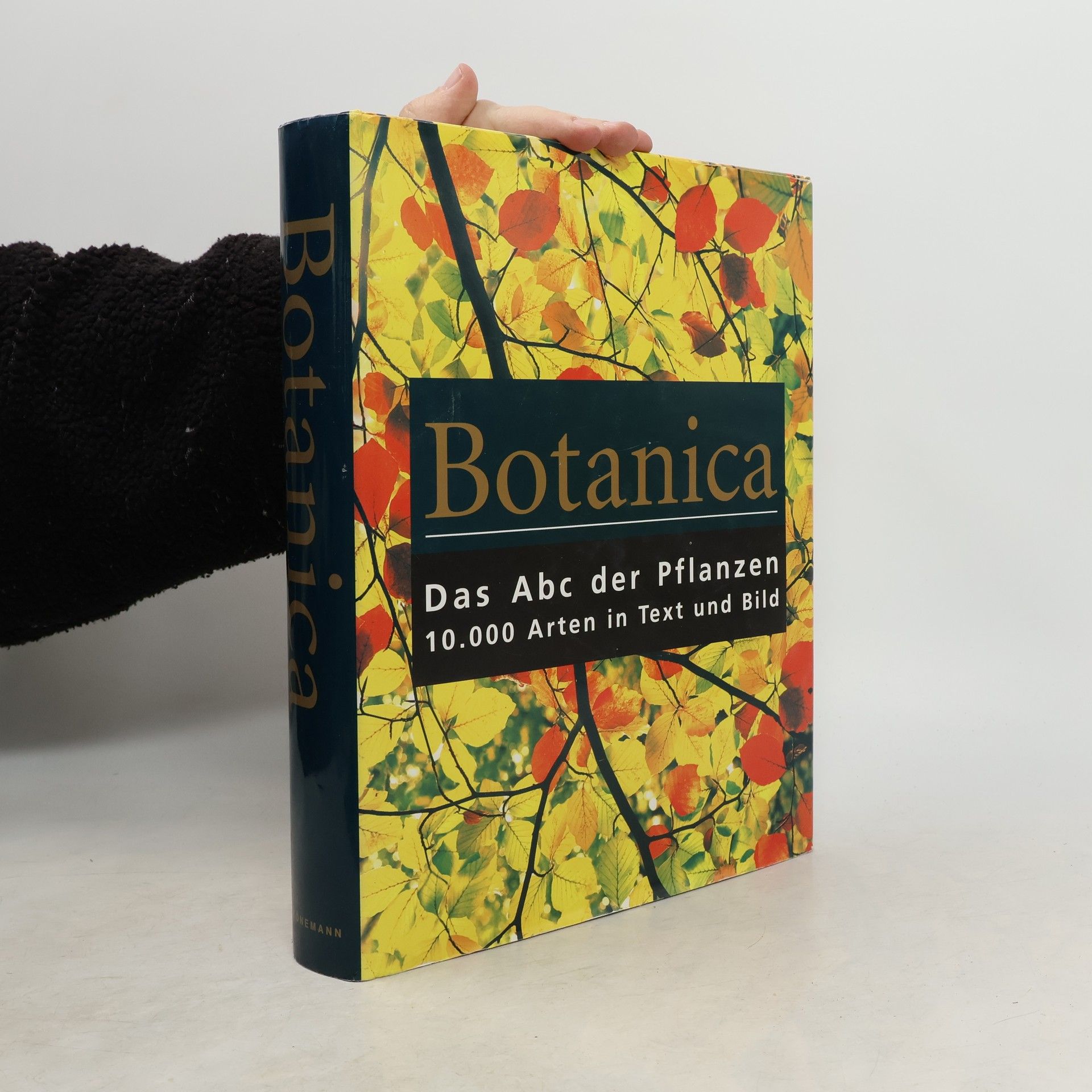 Autorenkollektiv Botanica : Das Abc der Pflanzen