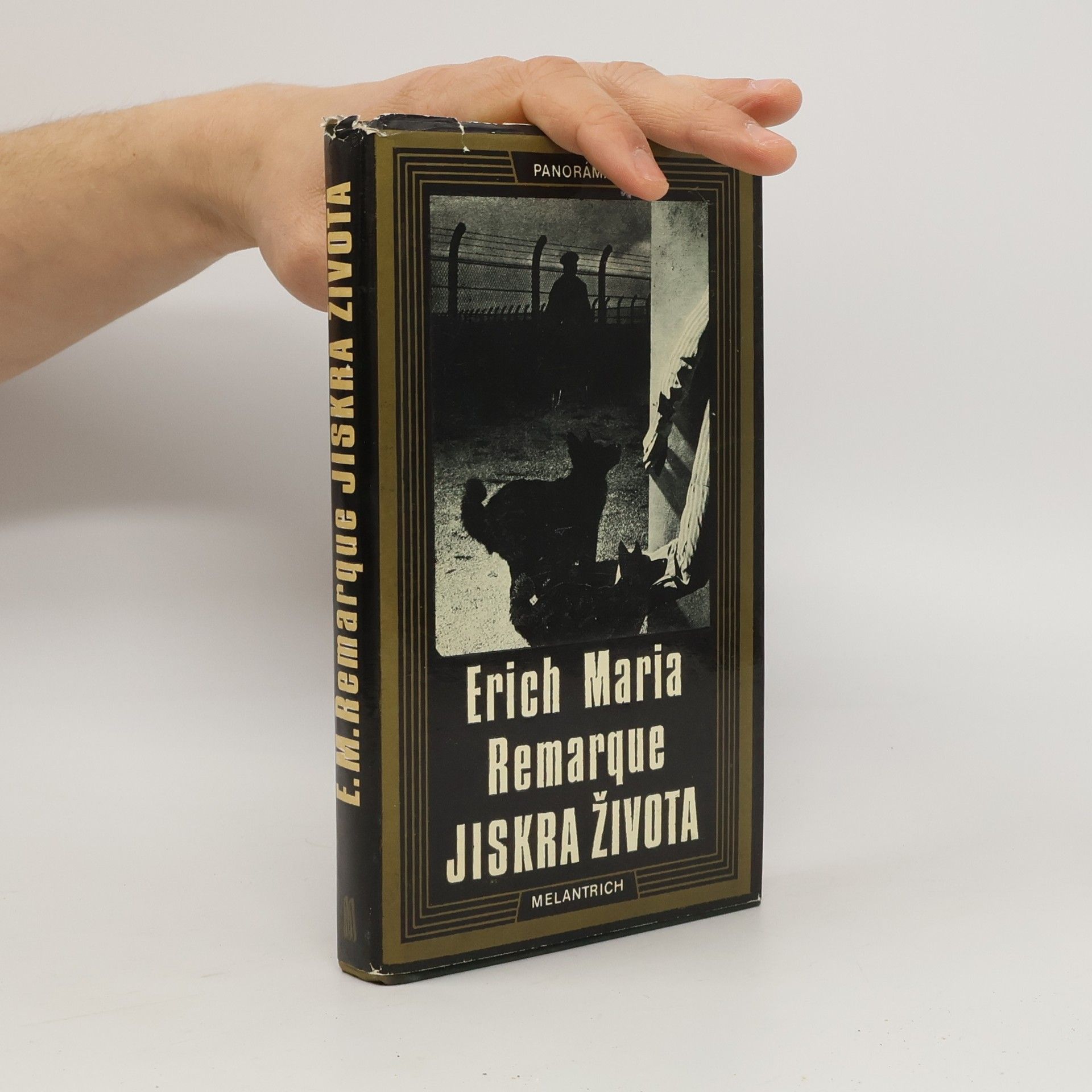 Erich Maria Remarque Jiskra života