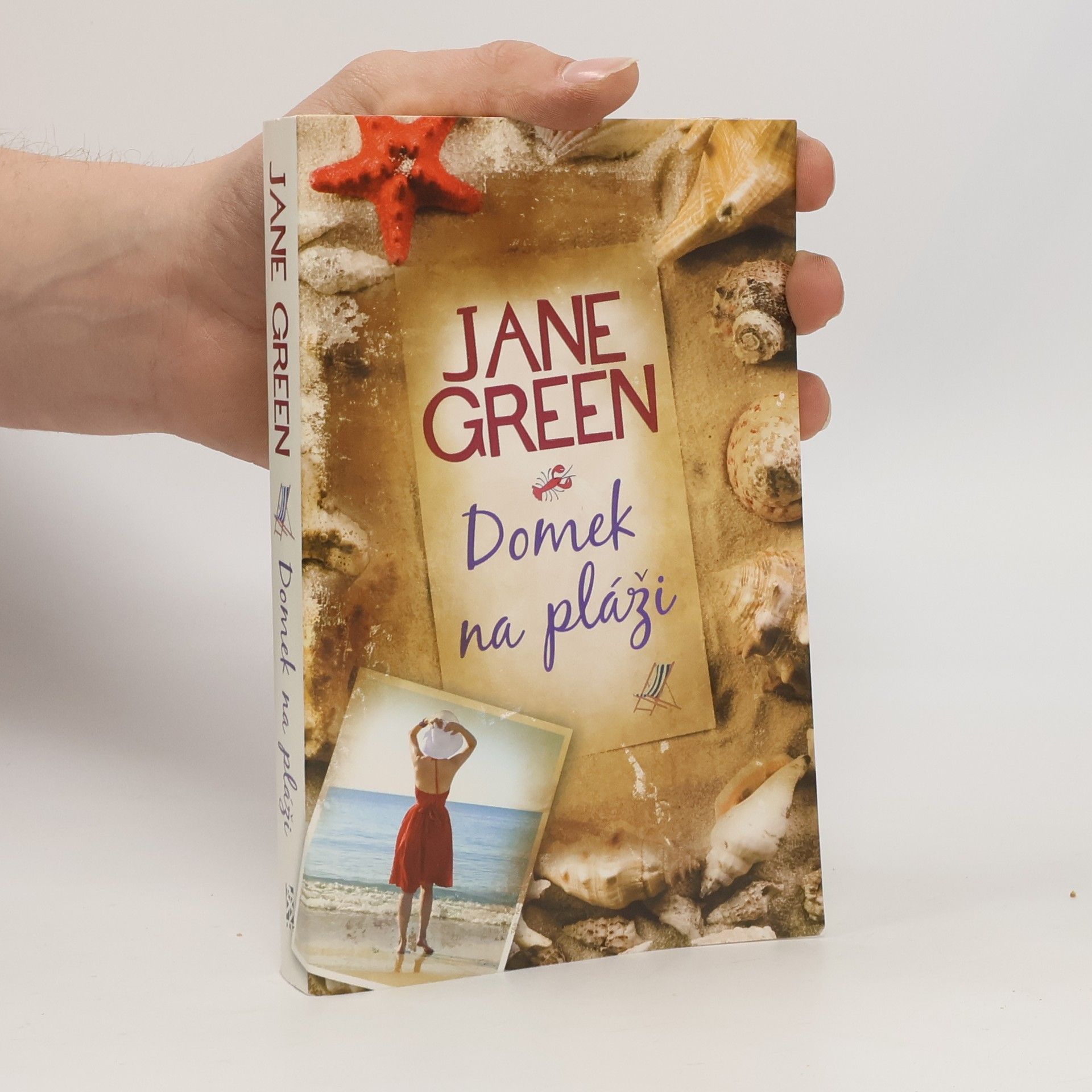 Jane Green Domek na pláži