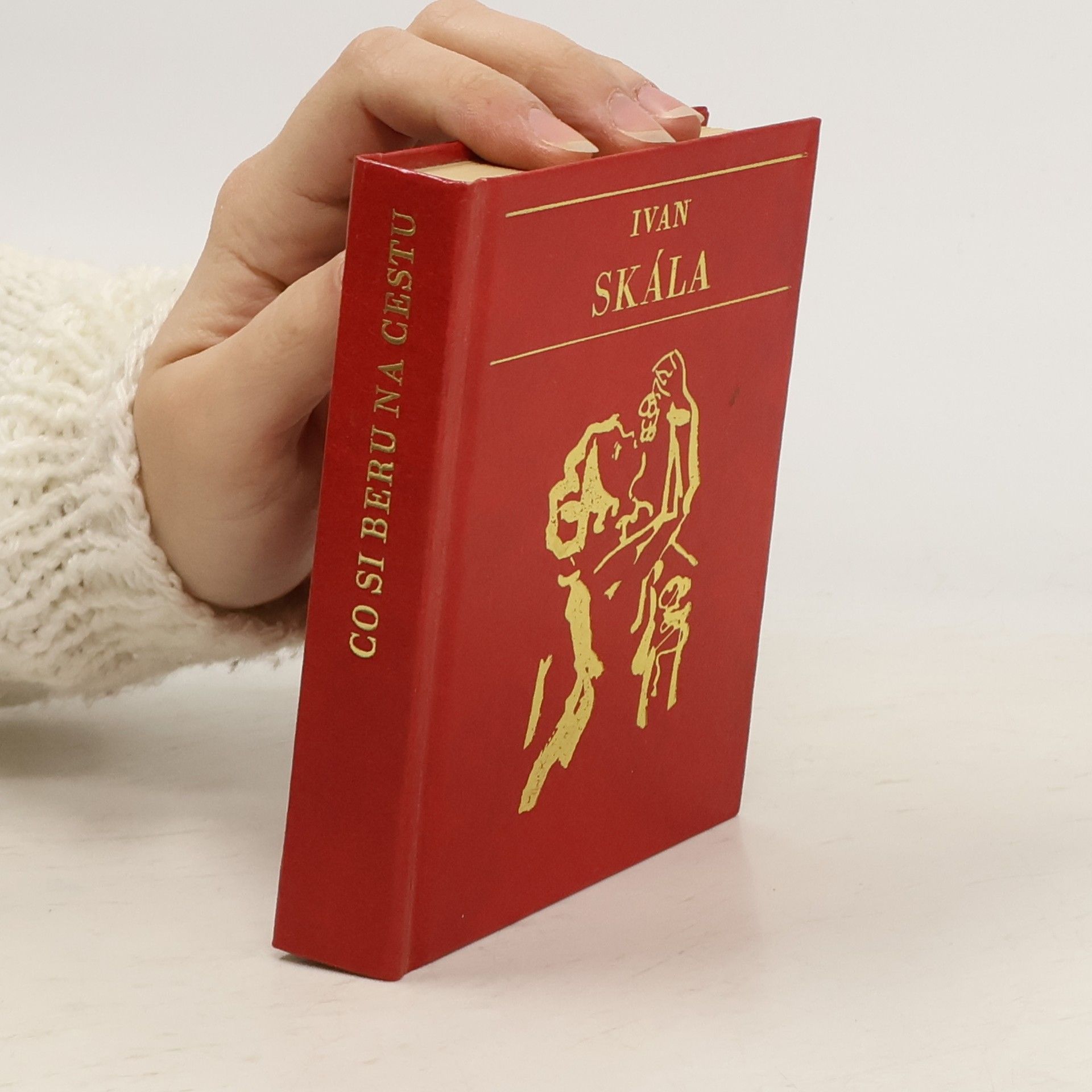 Ivan Skála Co si beru na cestu