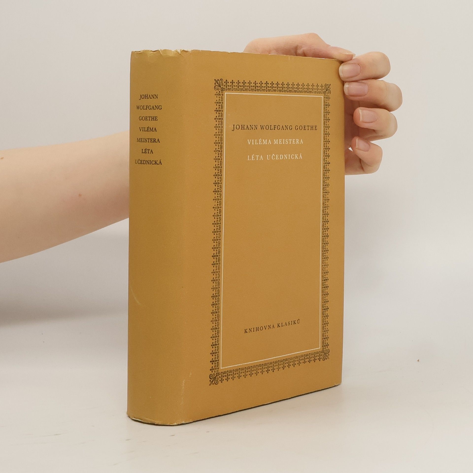 Johann Wolfgang von Goethe Viléma Meistera léta učednická