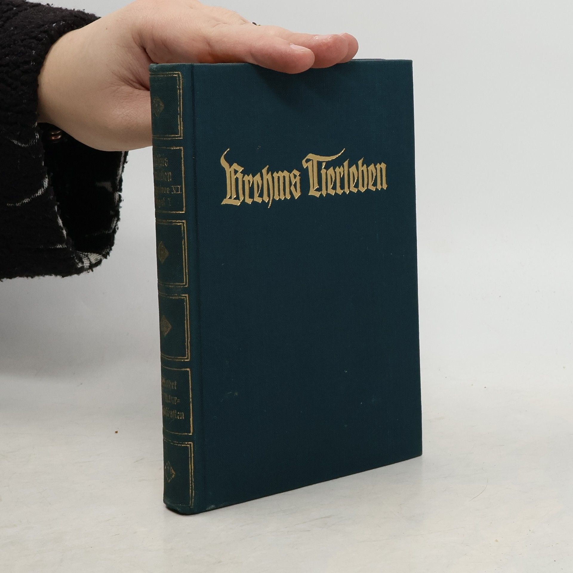 Brehms Tierleben. Band 11