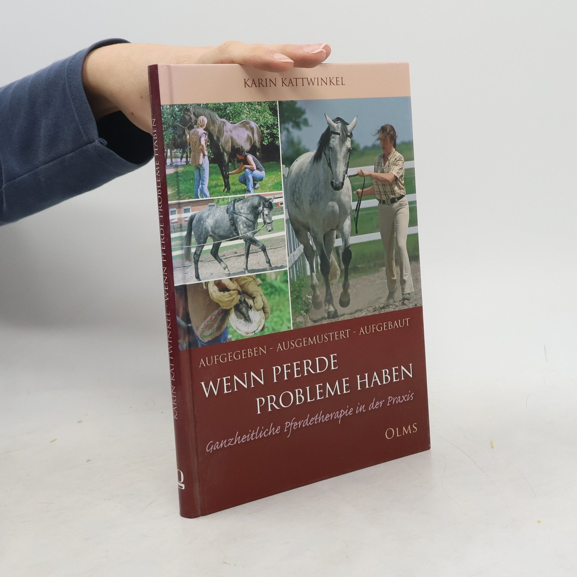 Aufgegeben - ausgemustert - aufgebaut