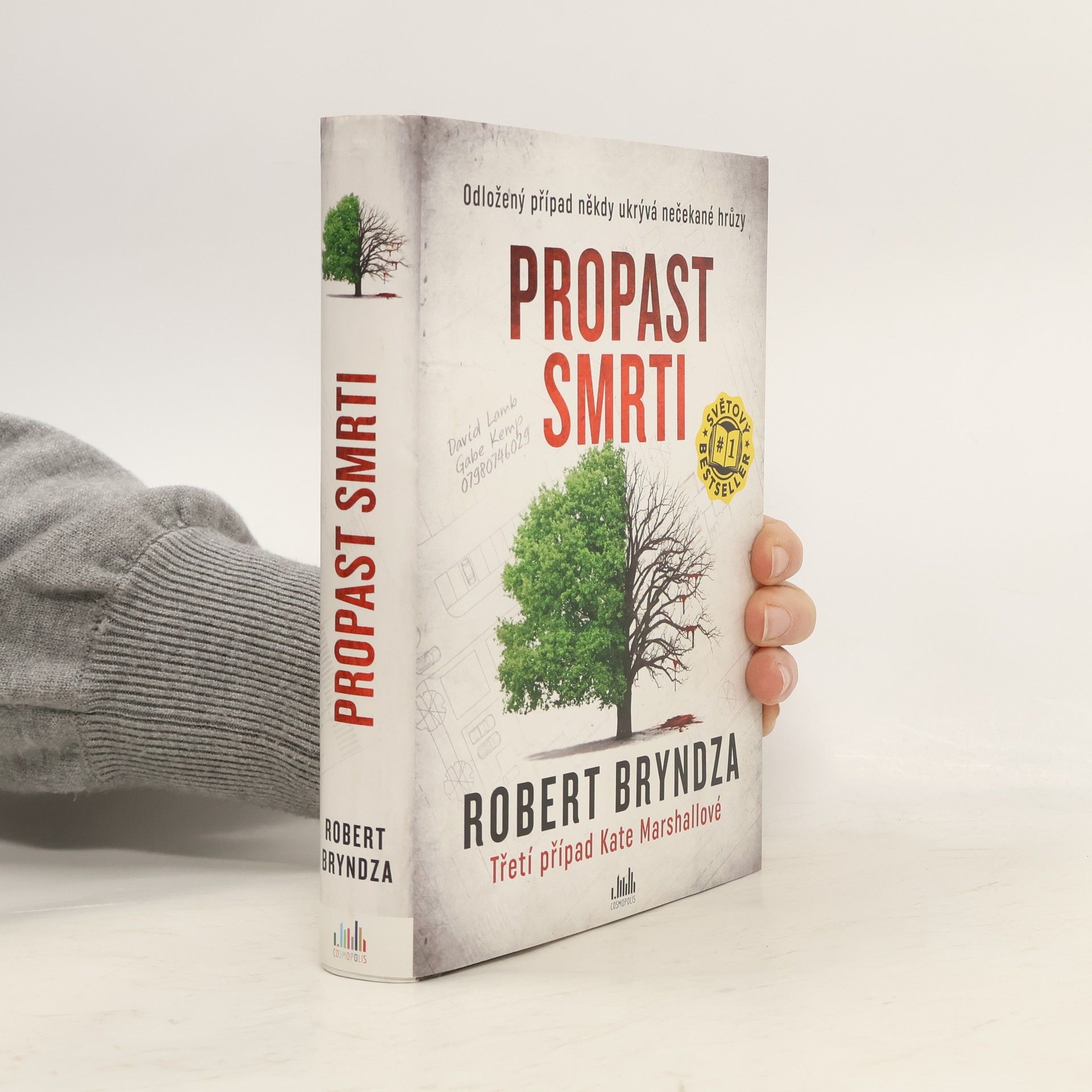 Robert Bryndza Propast smrti