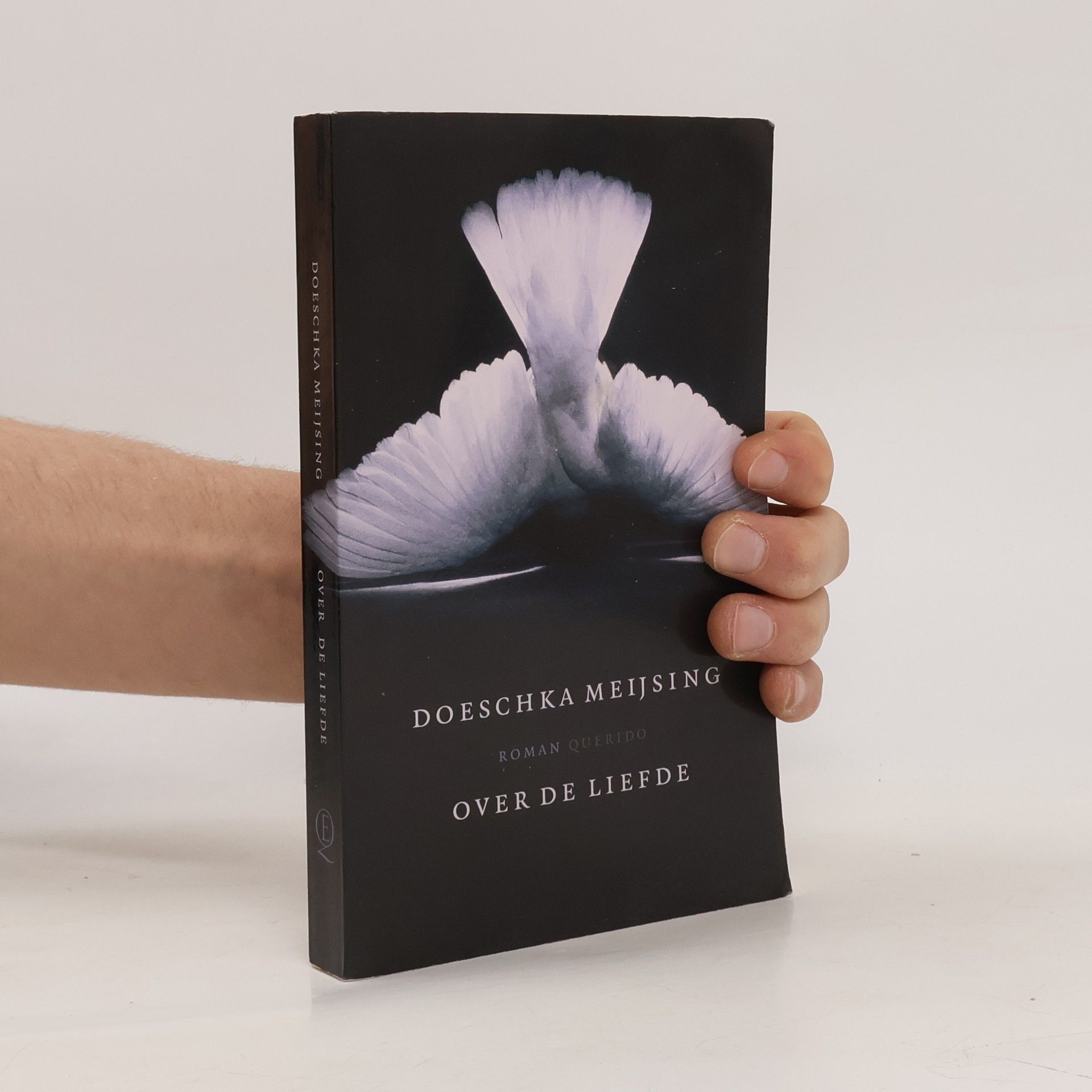 Maria Johanna Meijsing Over de liefde