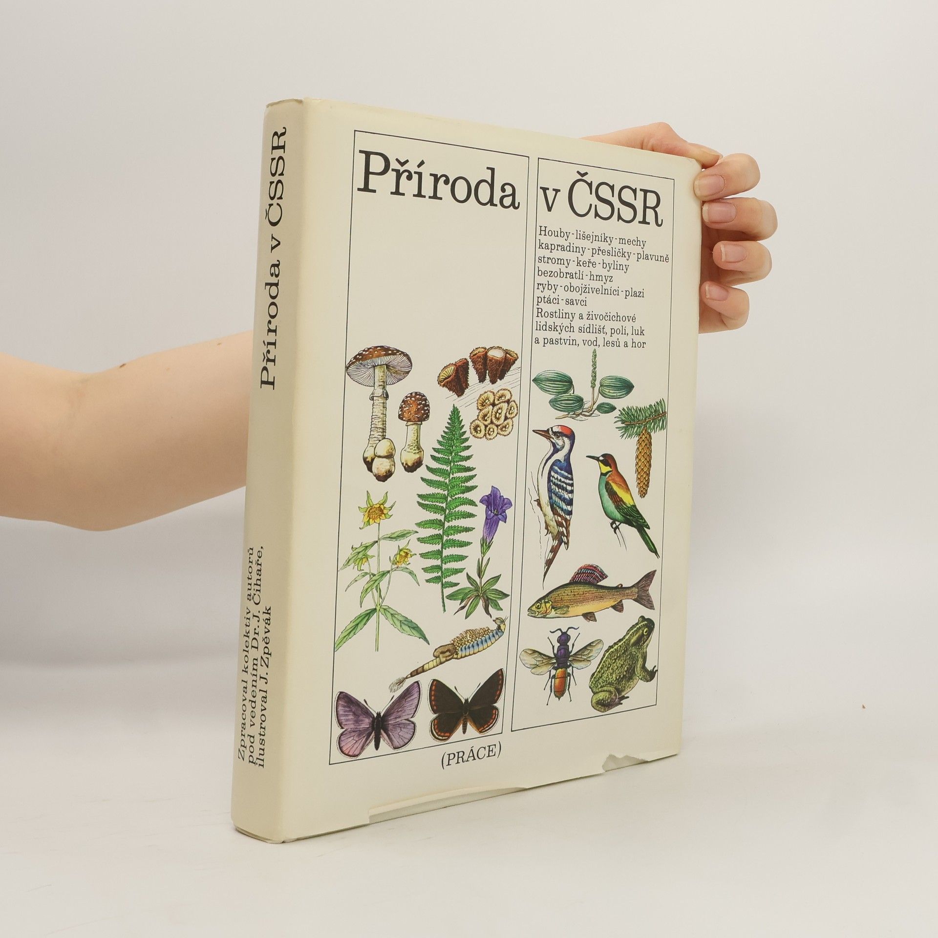 Kolektív autorov Příroda v ČSSR