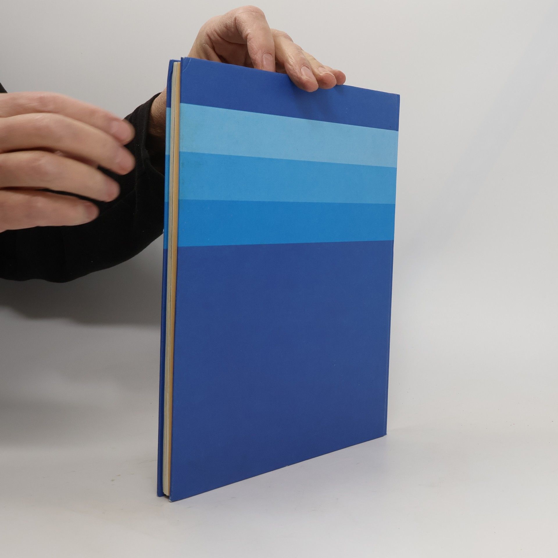 Kolektiv autorů Grosses Bastelbuch