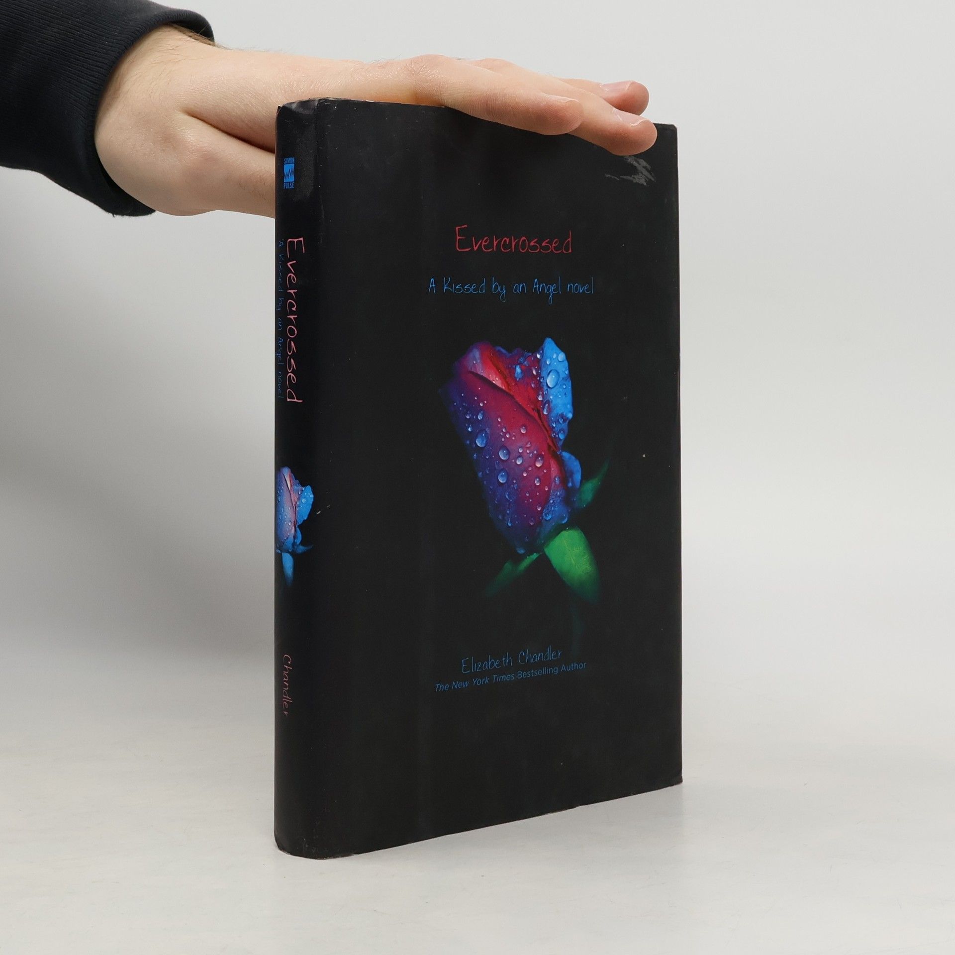 Elisabeth Chandler Evercrossed