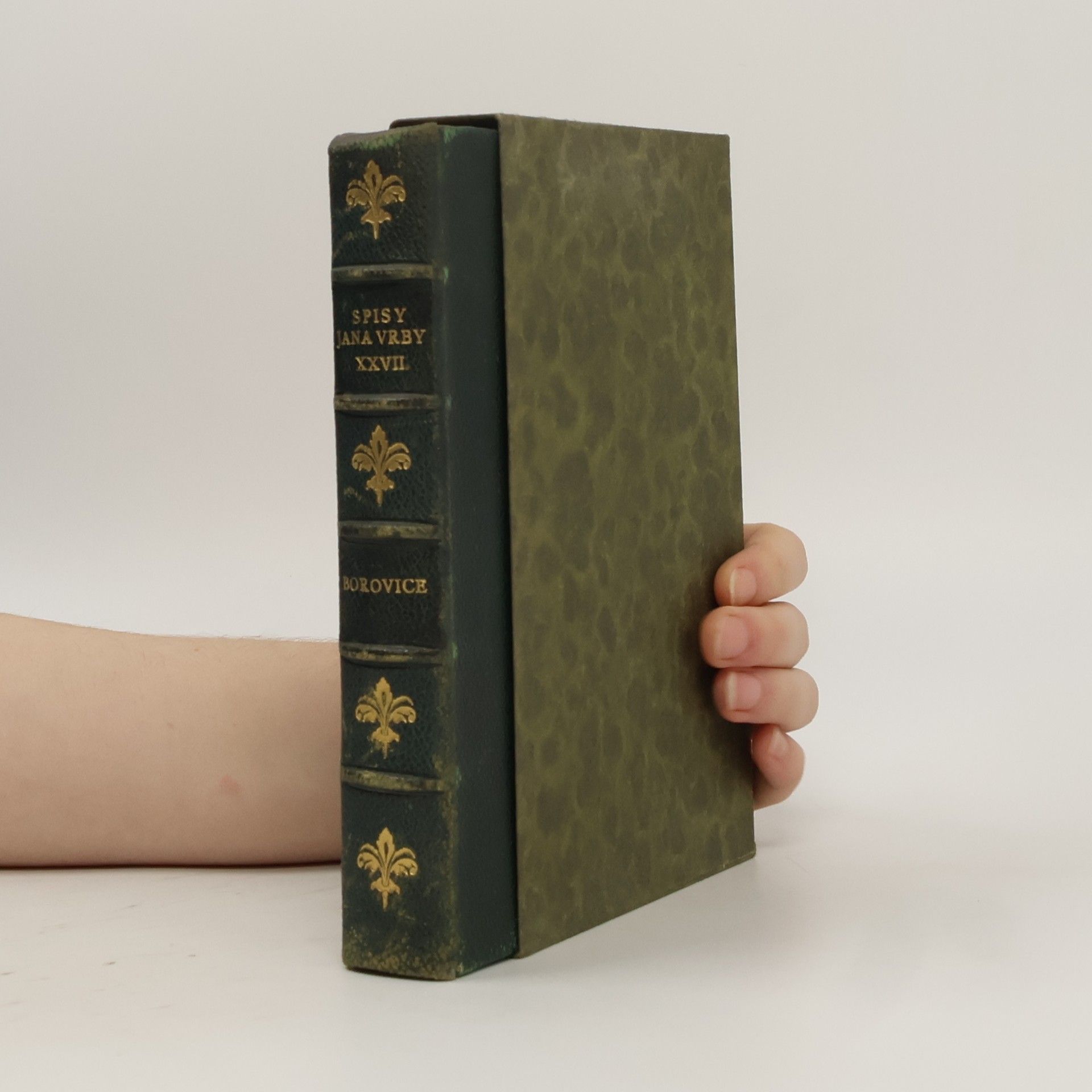 Jan Vrba Borovice : román stromu