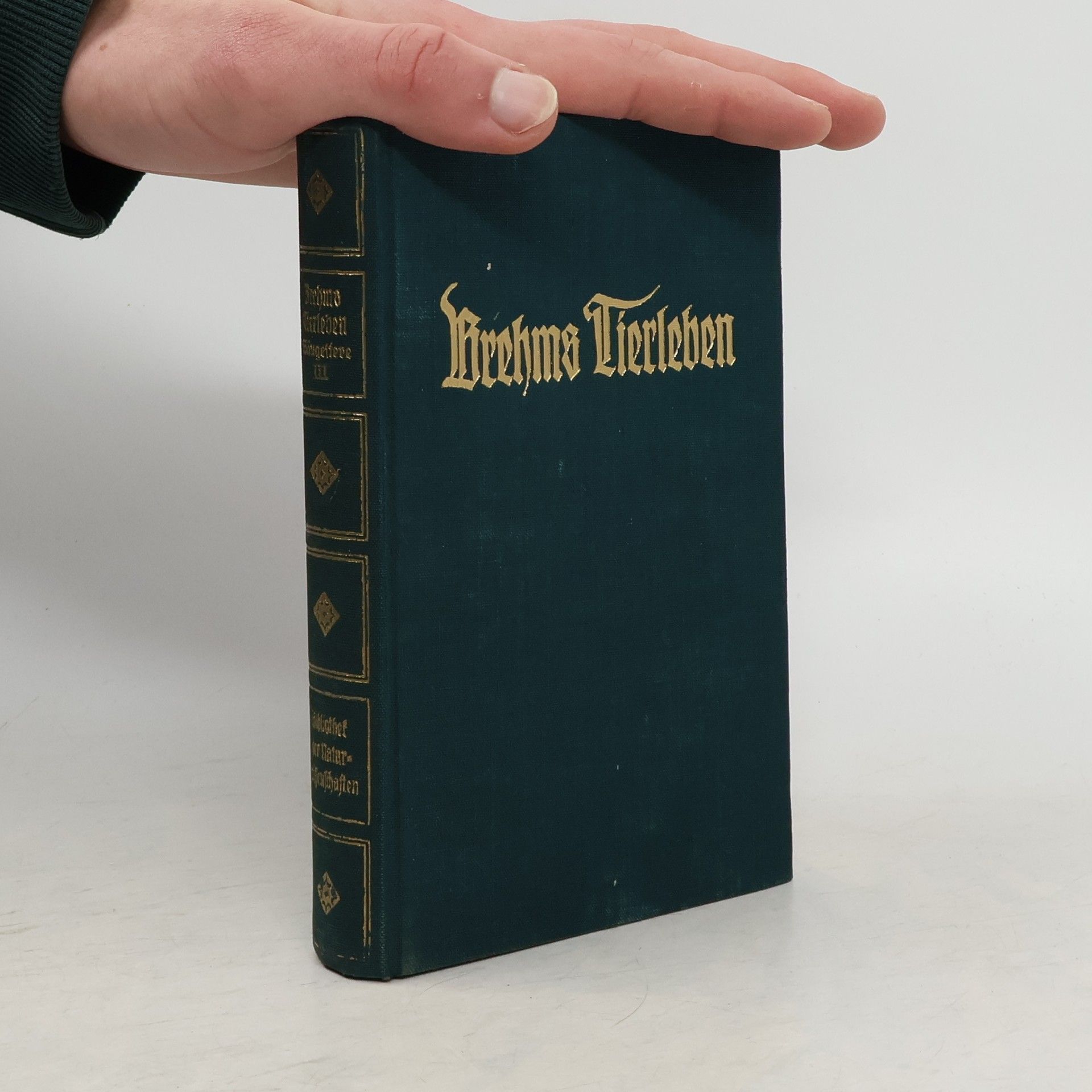 Adolf Meyer Brehms Tierleben. Band 5