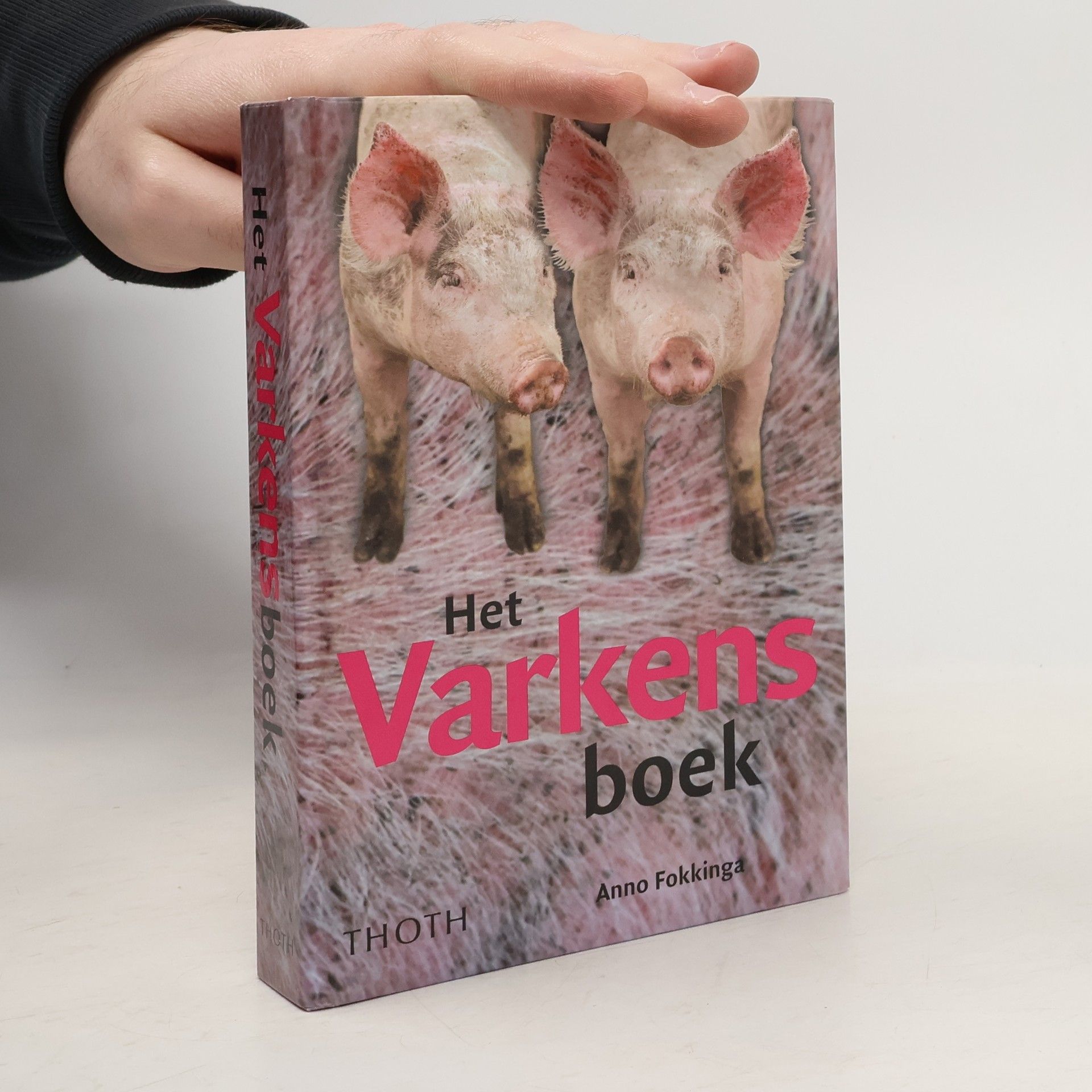 Anno Fokkinga Het Varkensboek