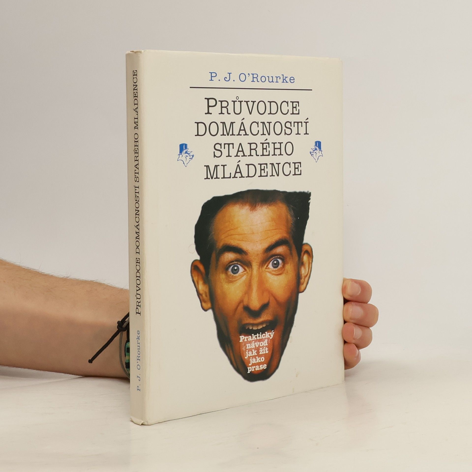Průvodce domácností starého mládence