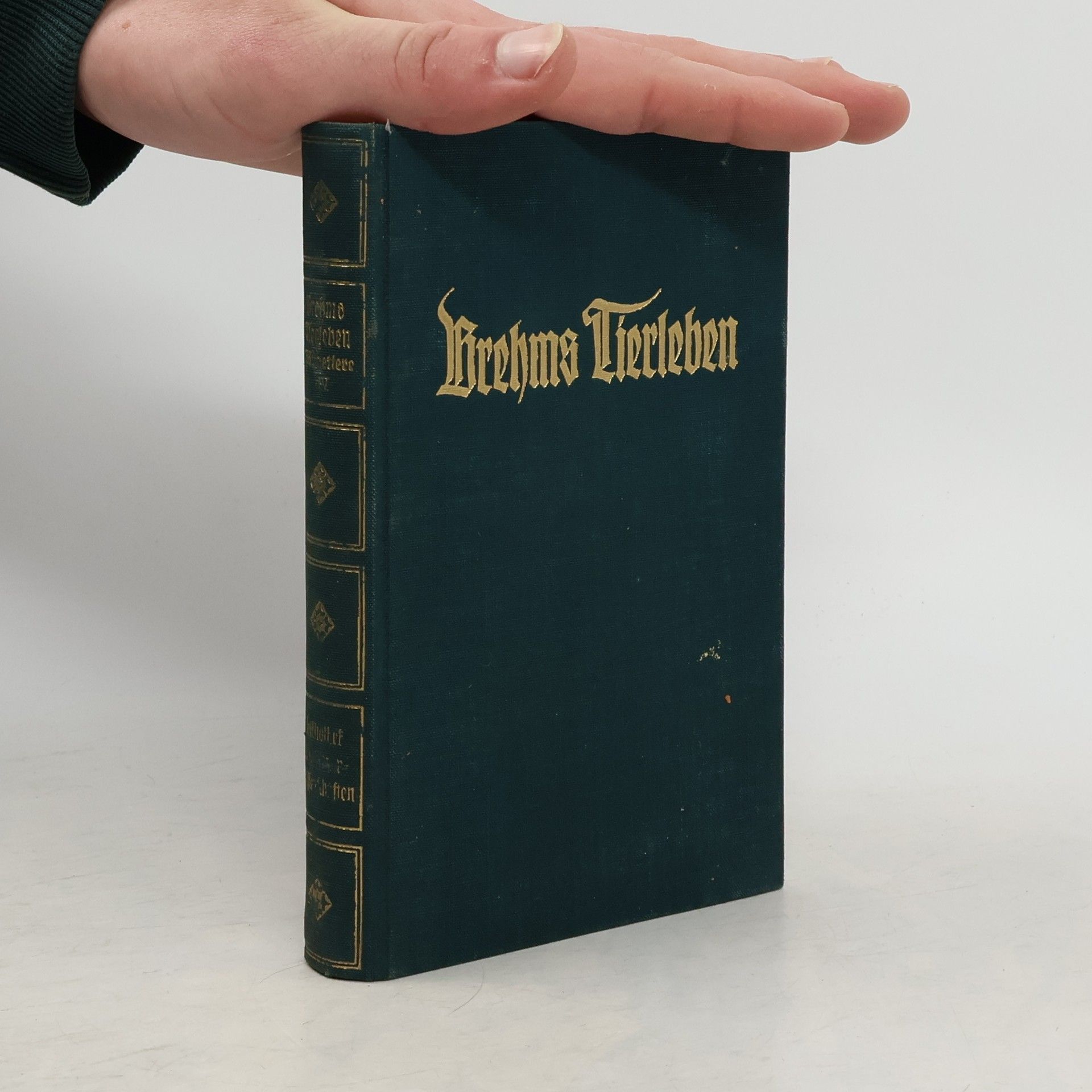 Adolf Meyer Brehms Tierleben 7