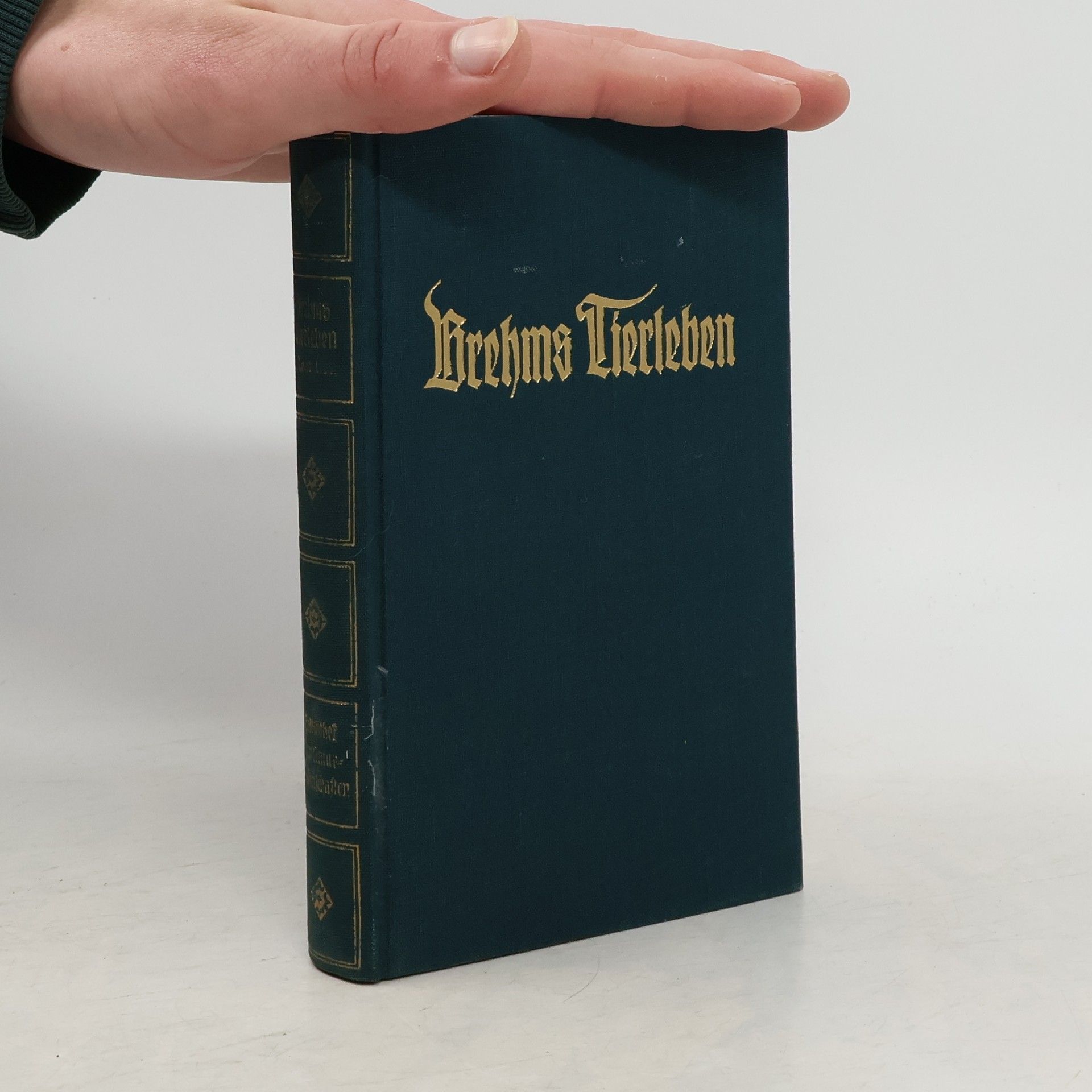 Adolf Meyer Brehms Tierleben. Band 21