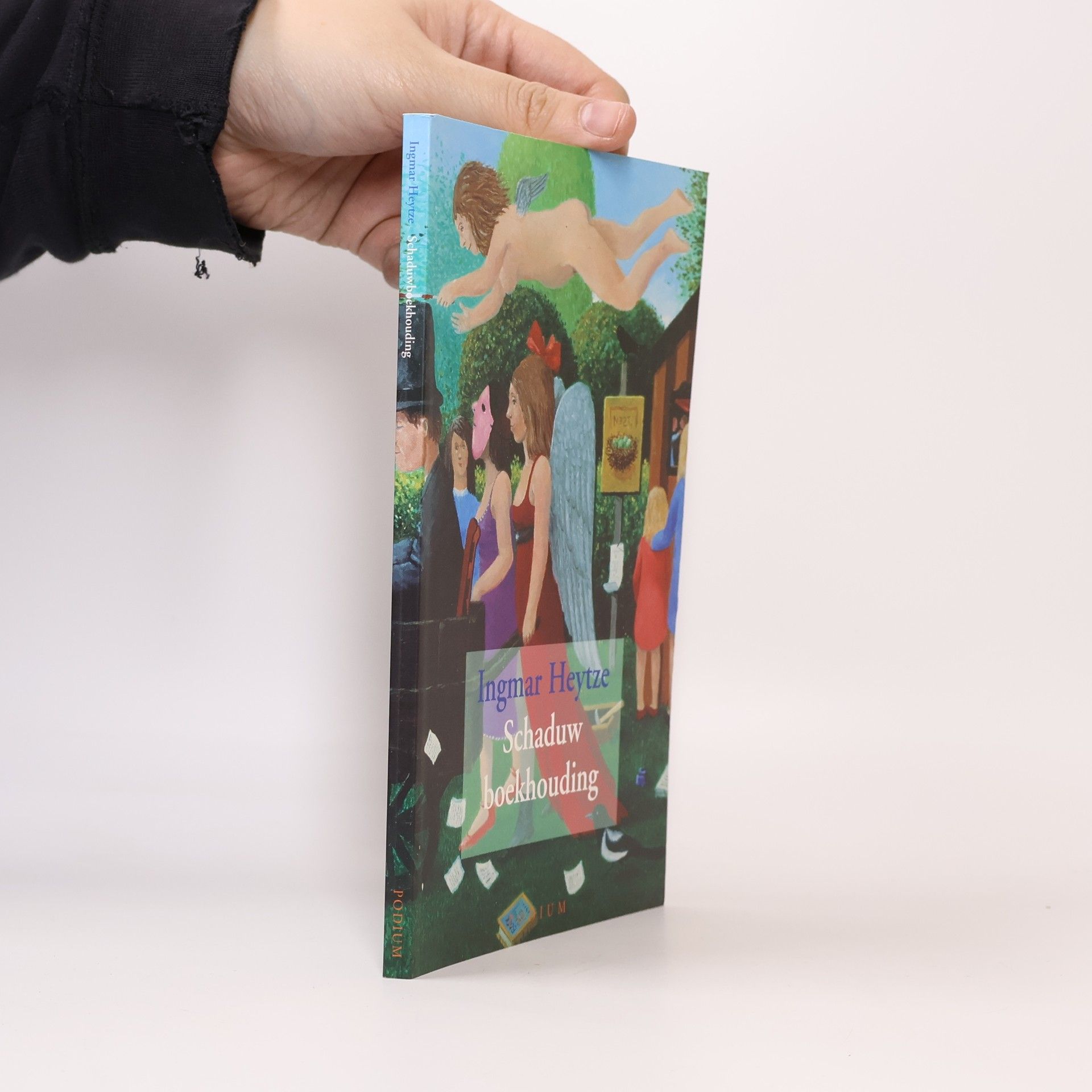 Ingmar Heytze Schaduwboekhouding