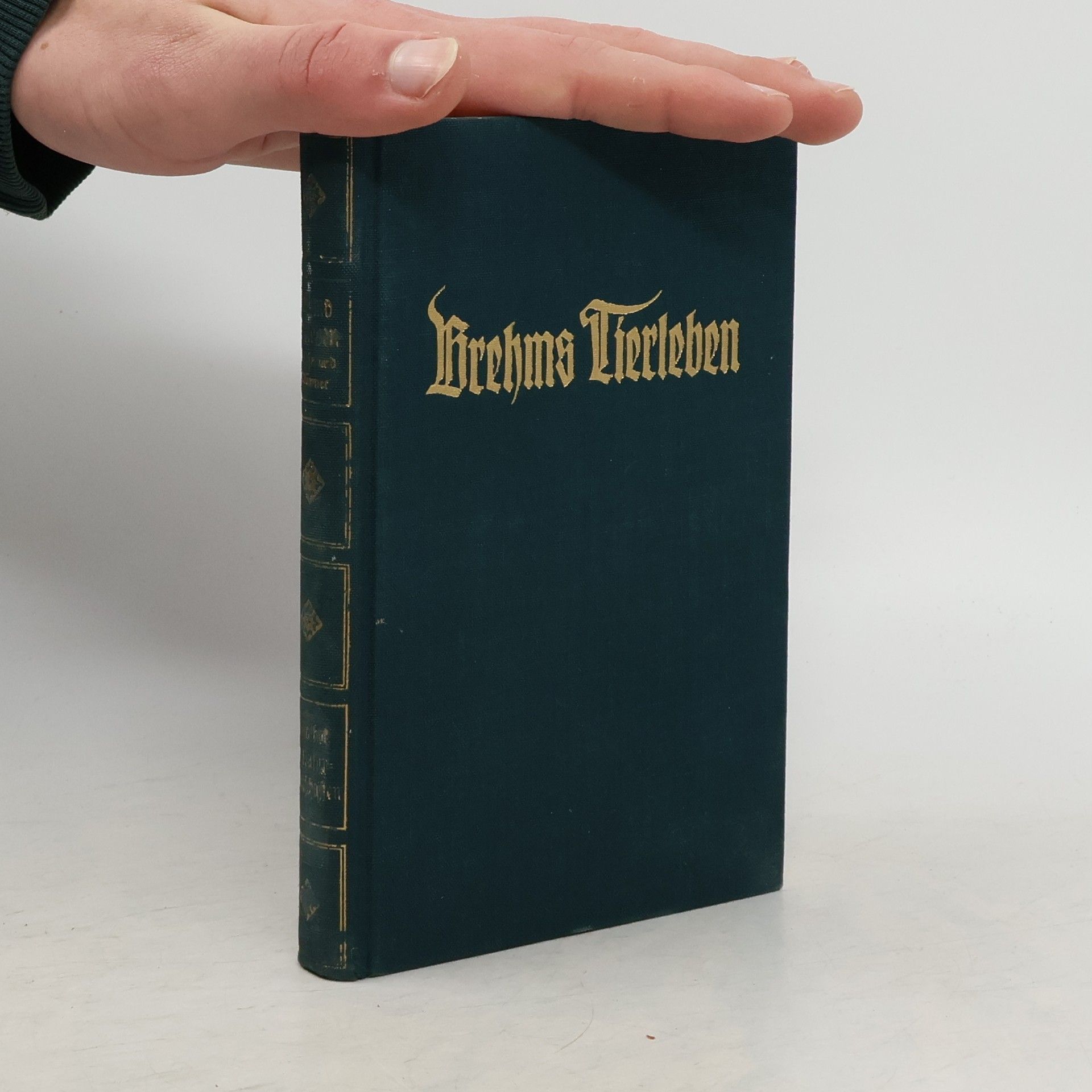 Alfred Edmund Brehm Brehms Tierleben. Band 31