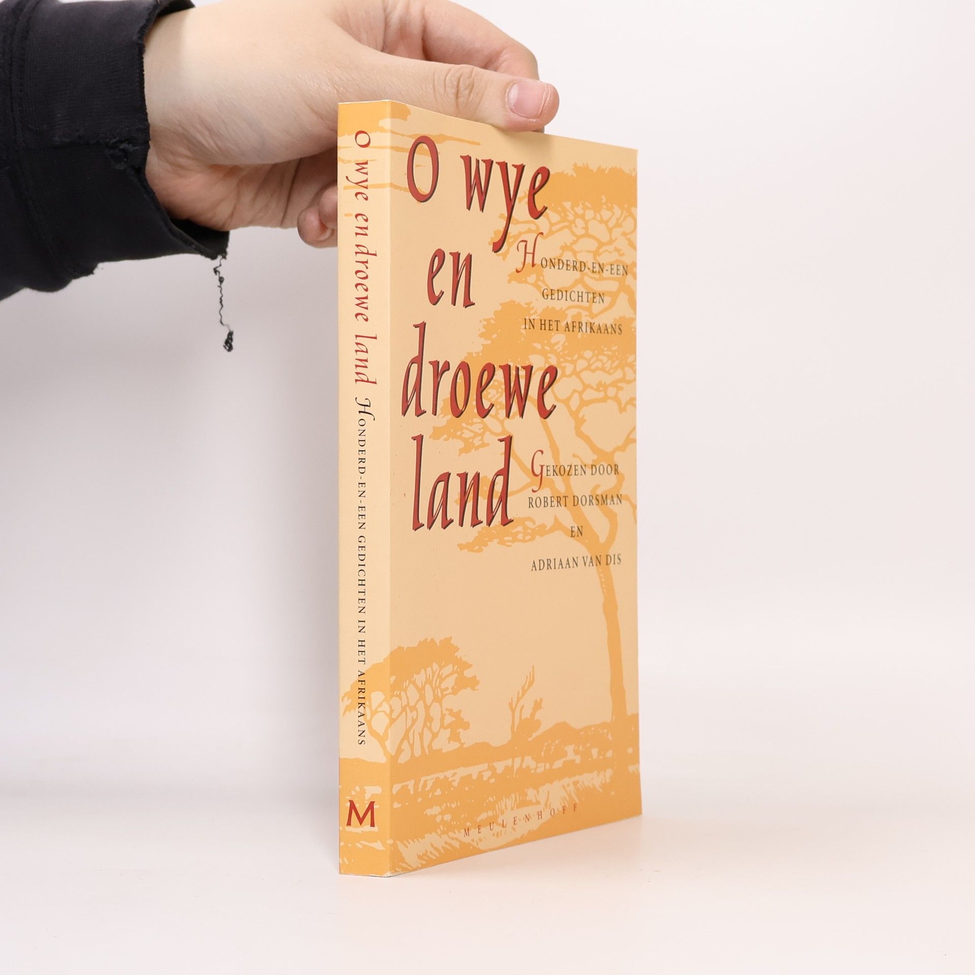 Robert Dorsman O wye en droewe land