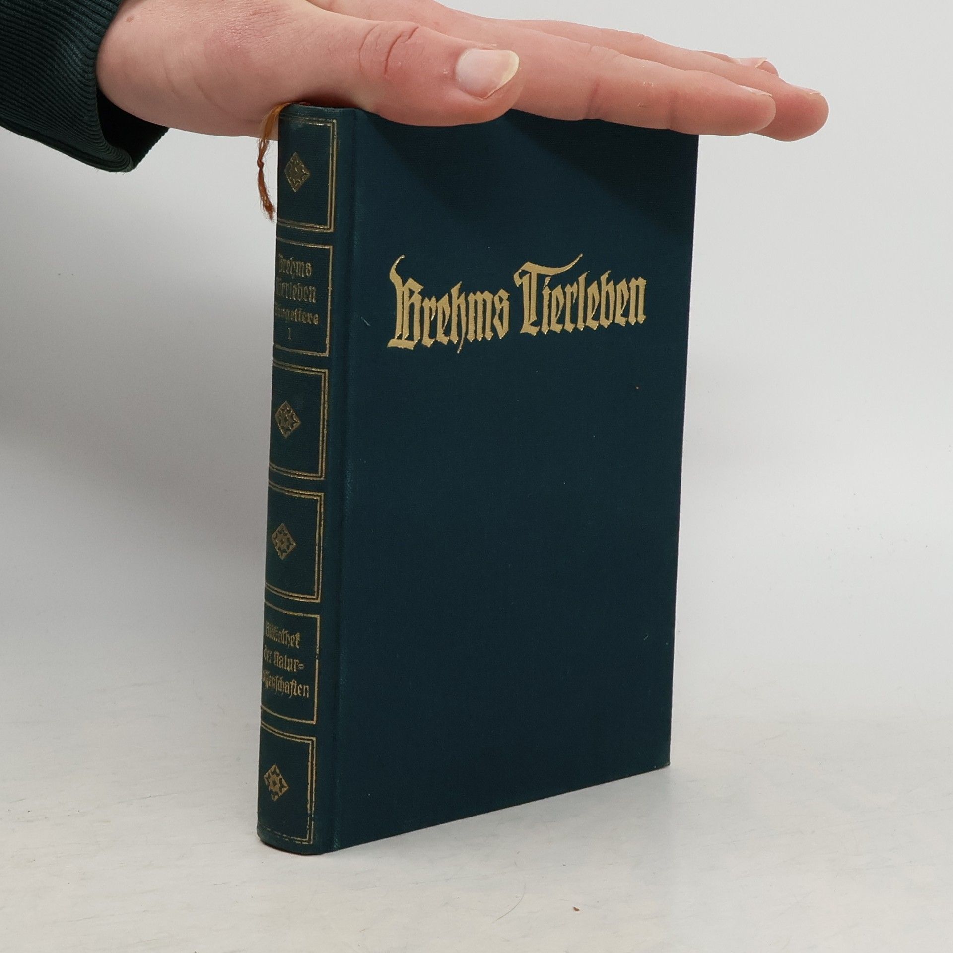 E. L. Taschenberg Brehms Tierleben. Band 1
