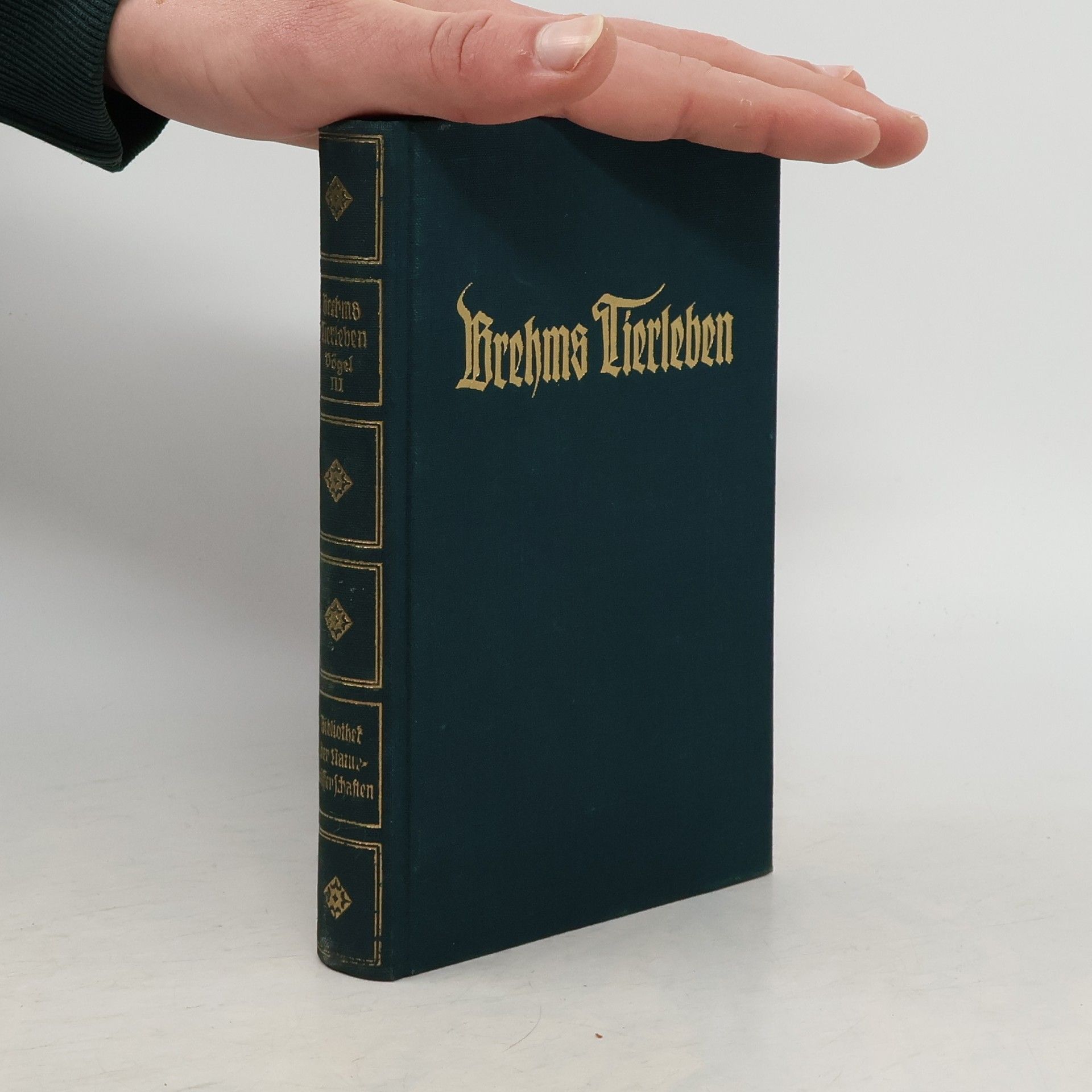 Adolf Meyer Brehms Tierleben. Band 15