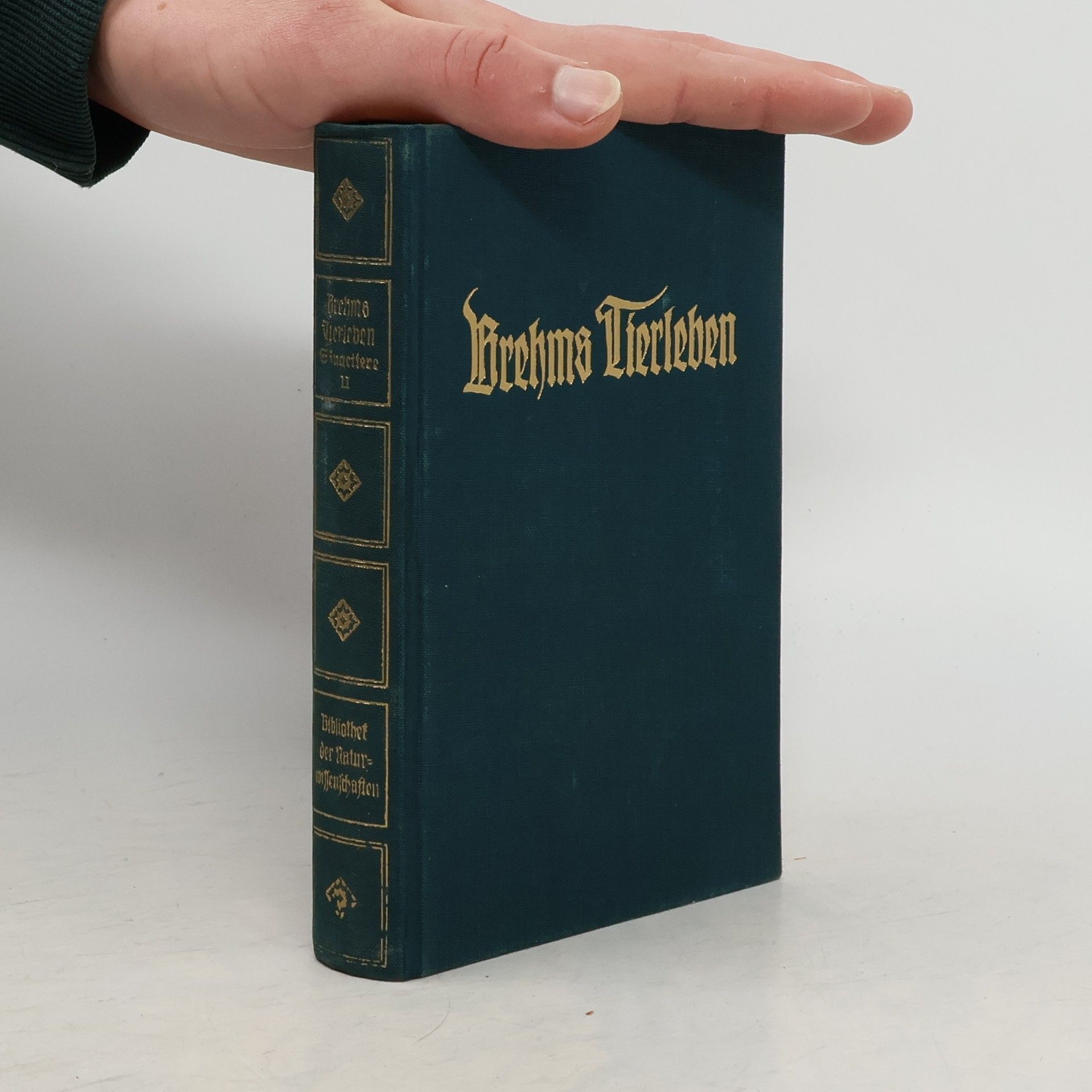 Adolf Meyer Brehms Tierleben. Band 3