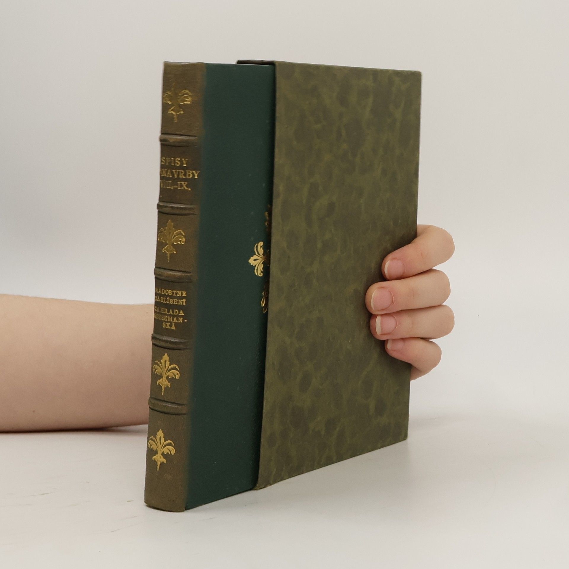 Jan Vrba Radostné zaslíbení