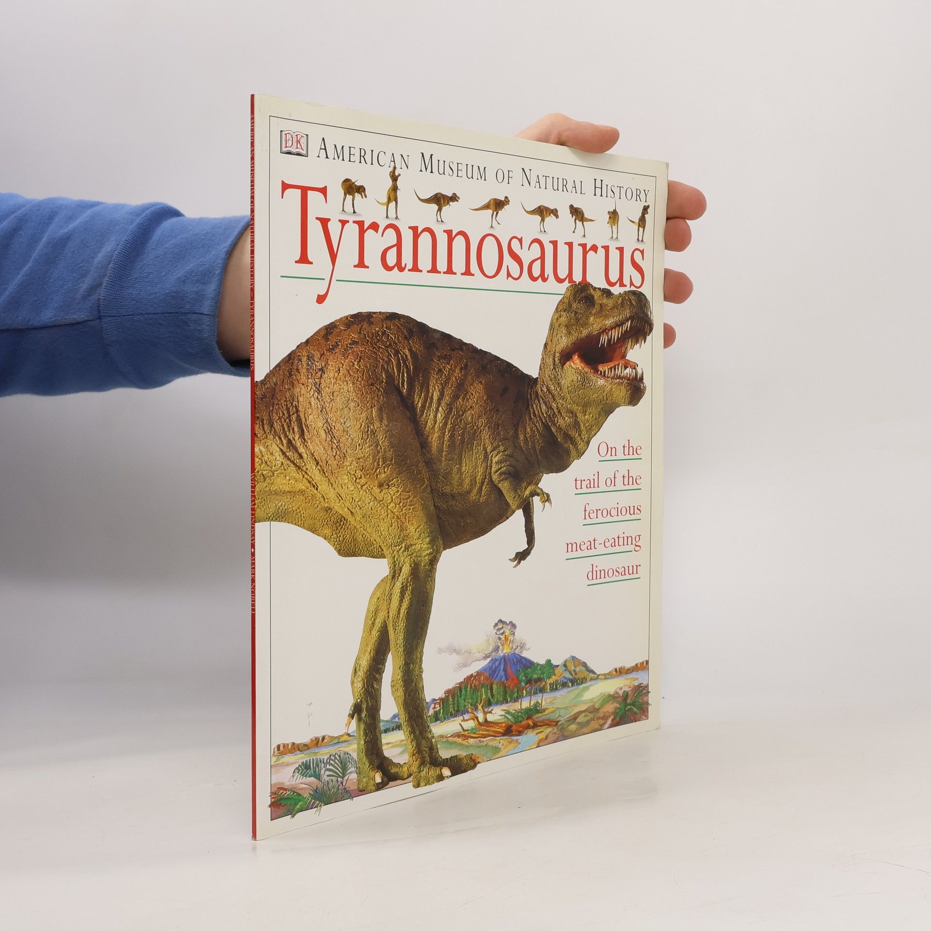 William Lindsay American Museum of Natural History: Tyrannosaurus