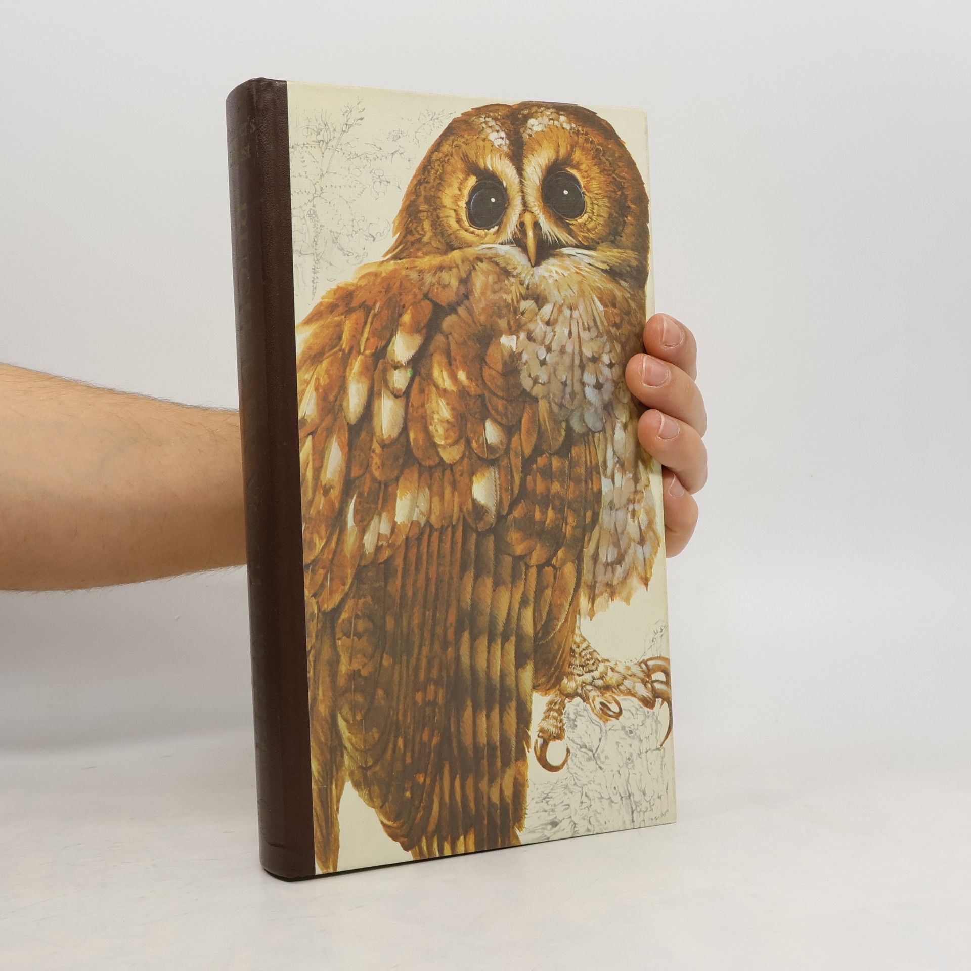 Günther Niethammer Das Reader's Digest Buch der Vogelwelt Mitteleuropas