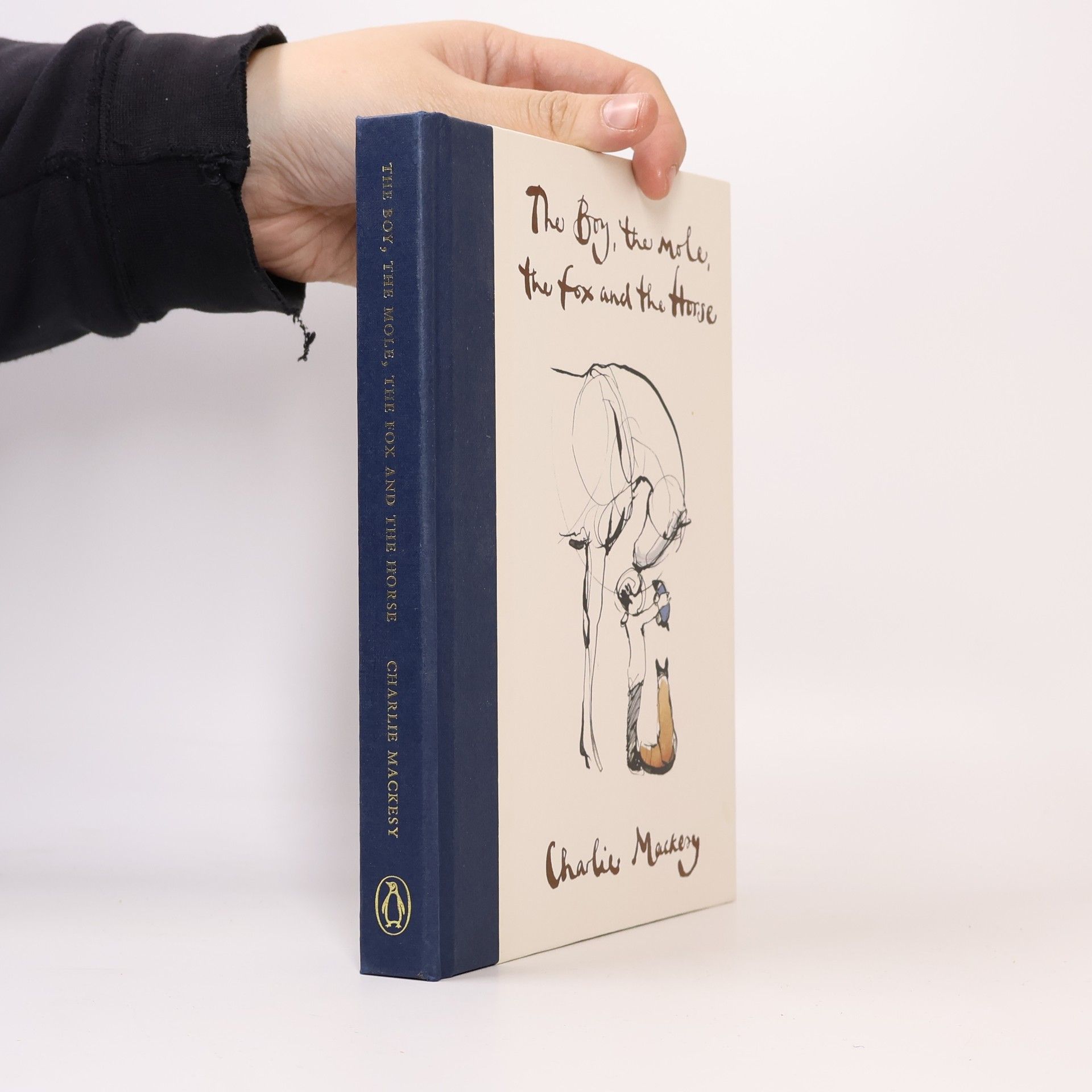 Charlie Mackesy The boy, the mole, the fox and the horse