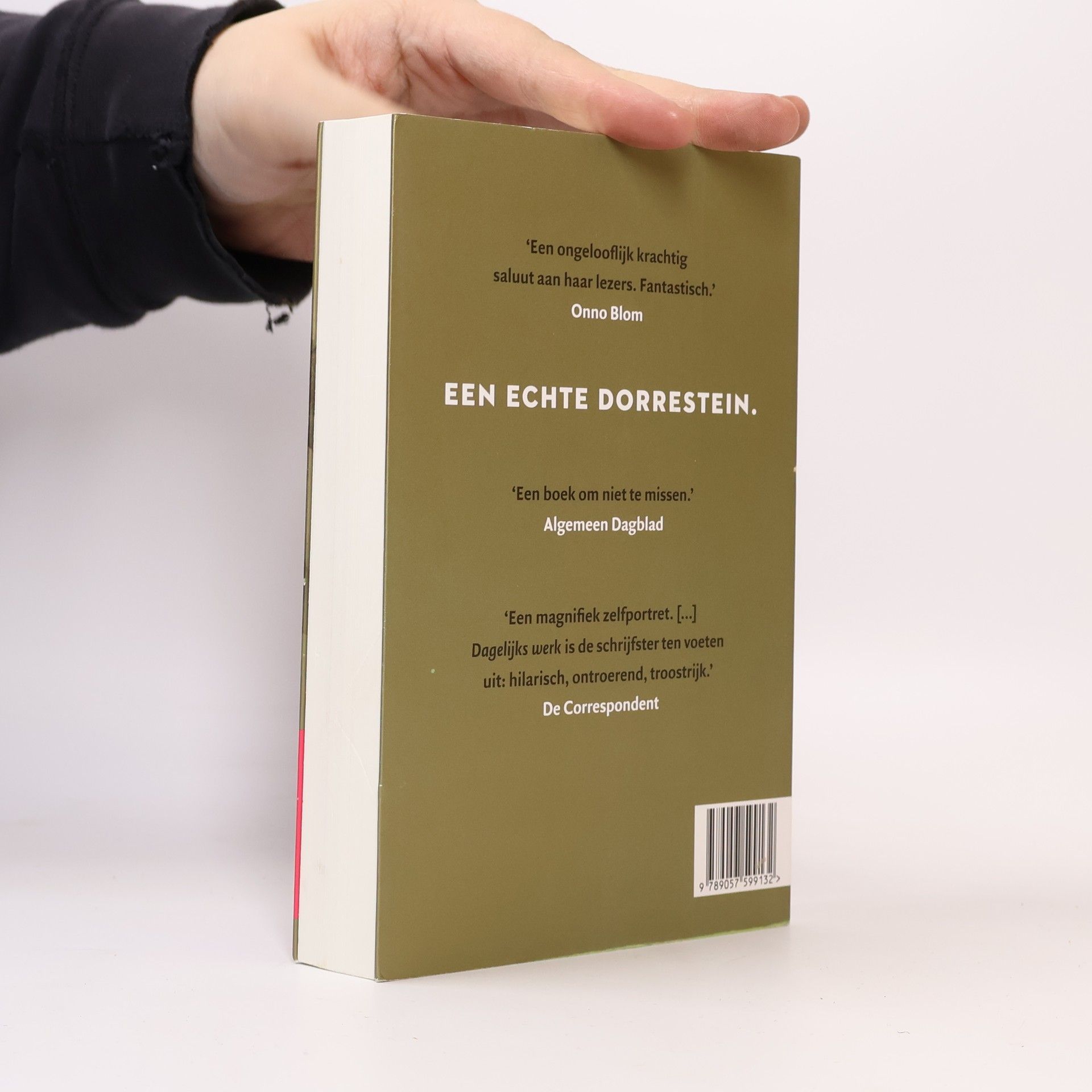 Renate Dorrestein Dagelijks werk