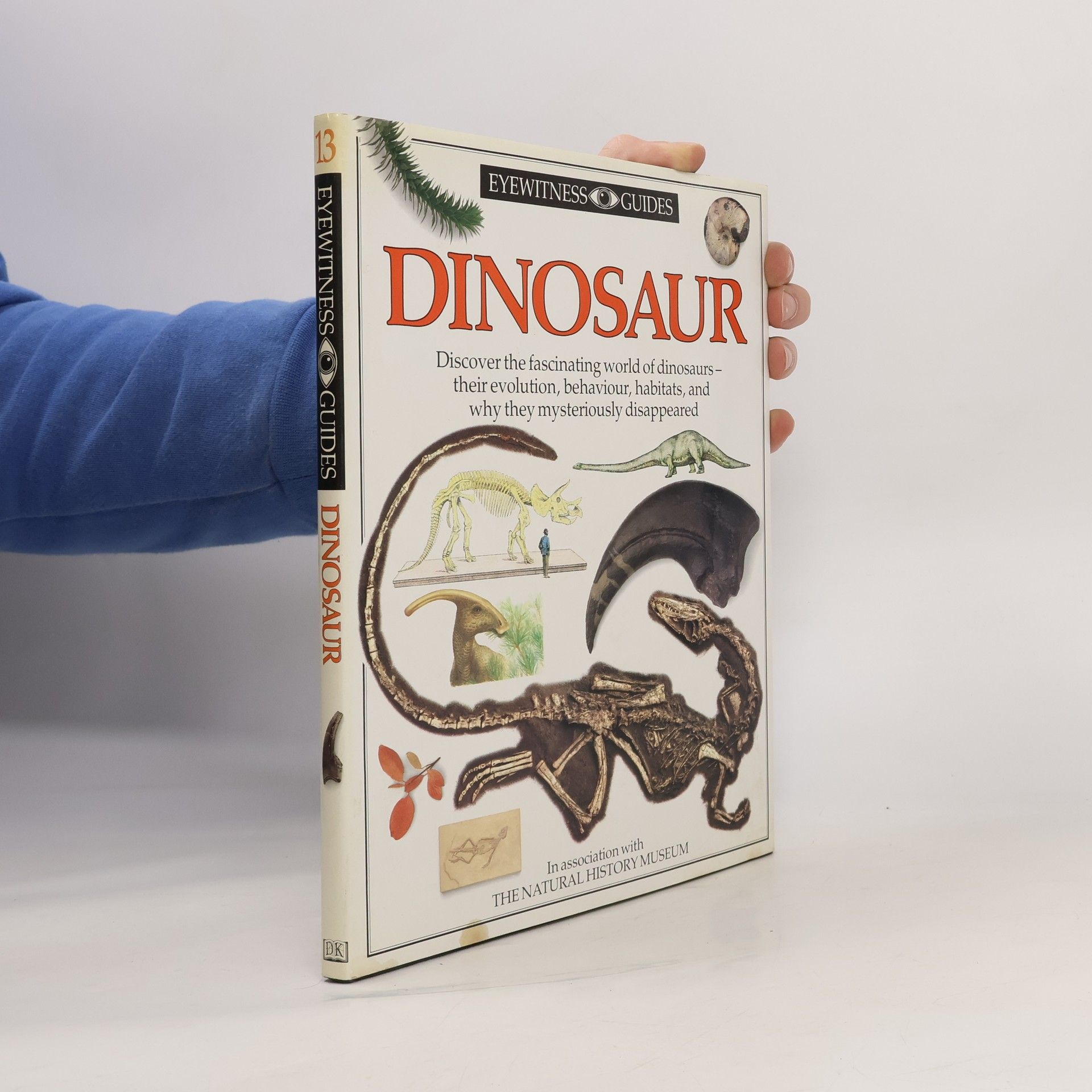 David B. Norman Dinosaur