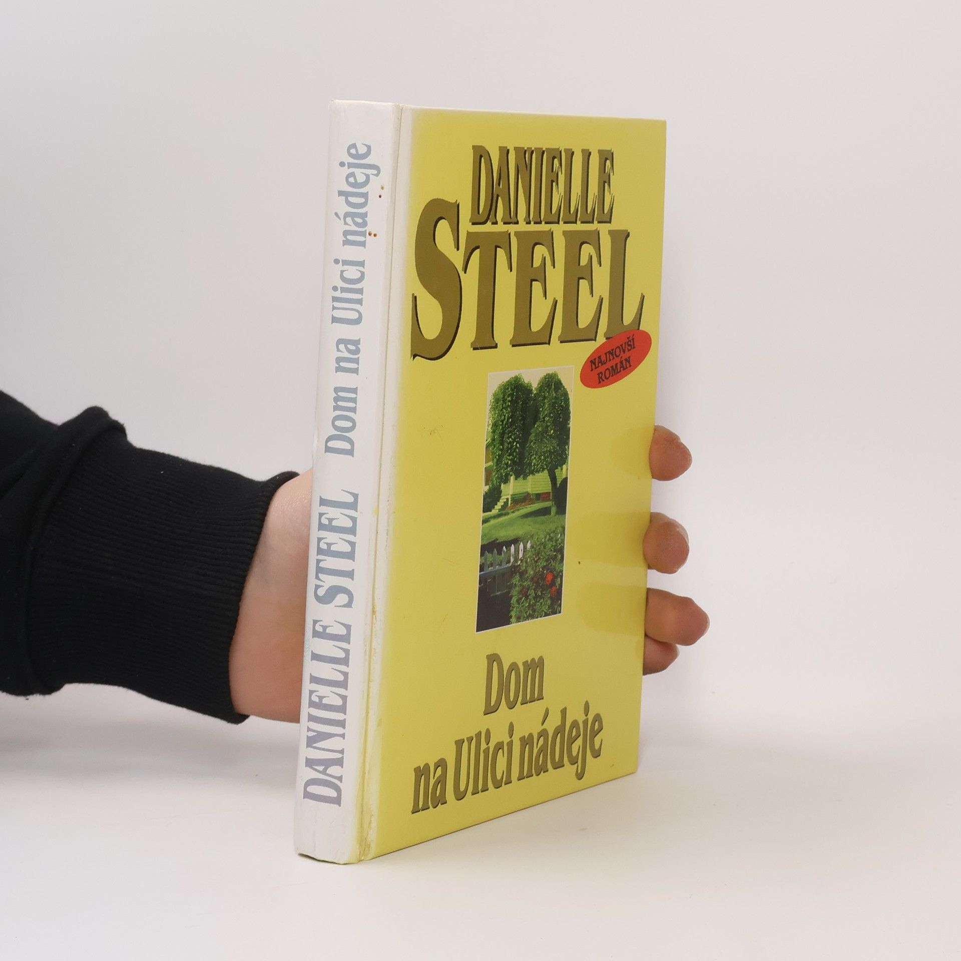Danielle Steel Dom na Ulici nádeje
