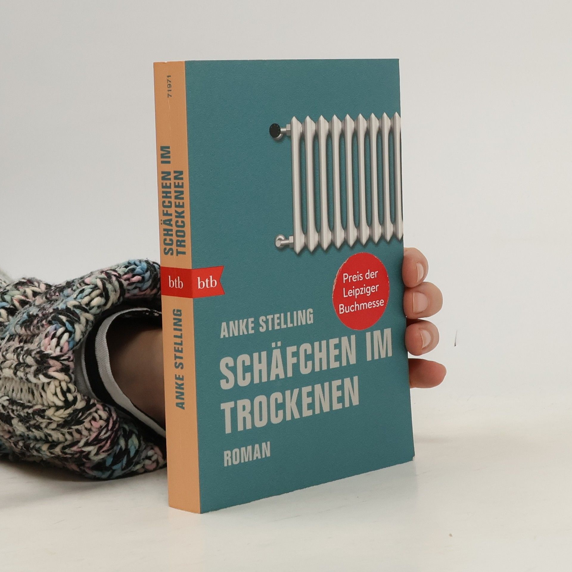 Anke Stelling Schäfchen im Trockenen
