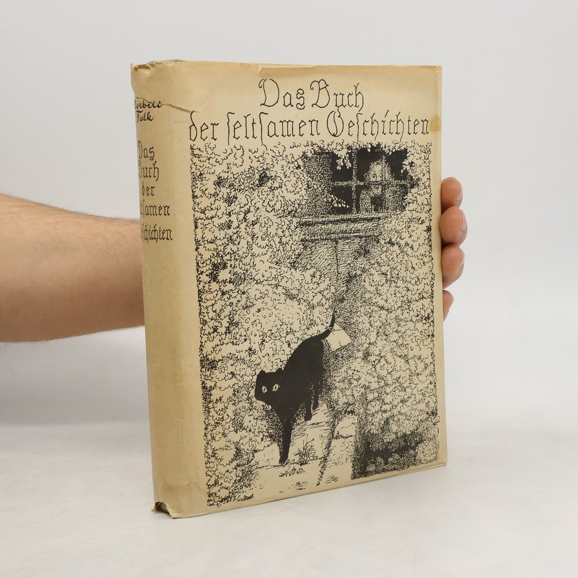 Norbert Falk Das Buch der seltsamen Geschichten