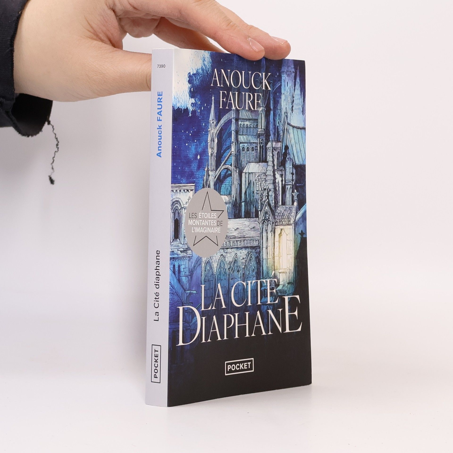 Anouck Faure La Cité diaphane