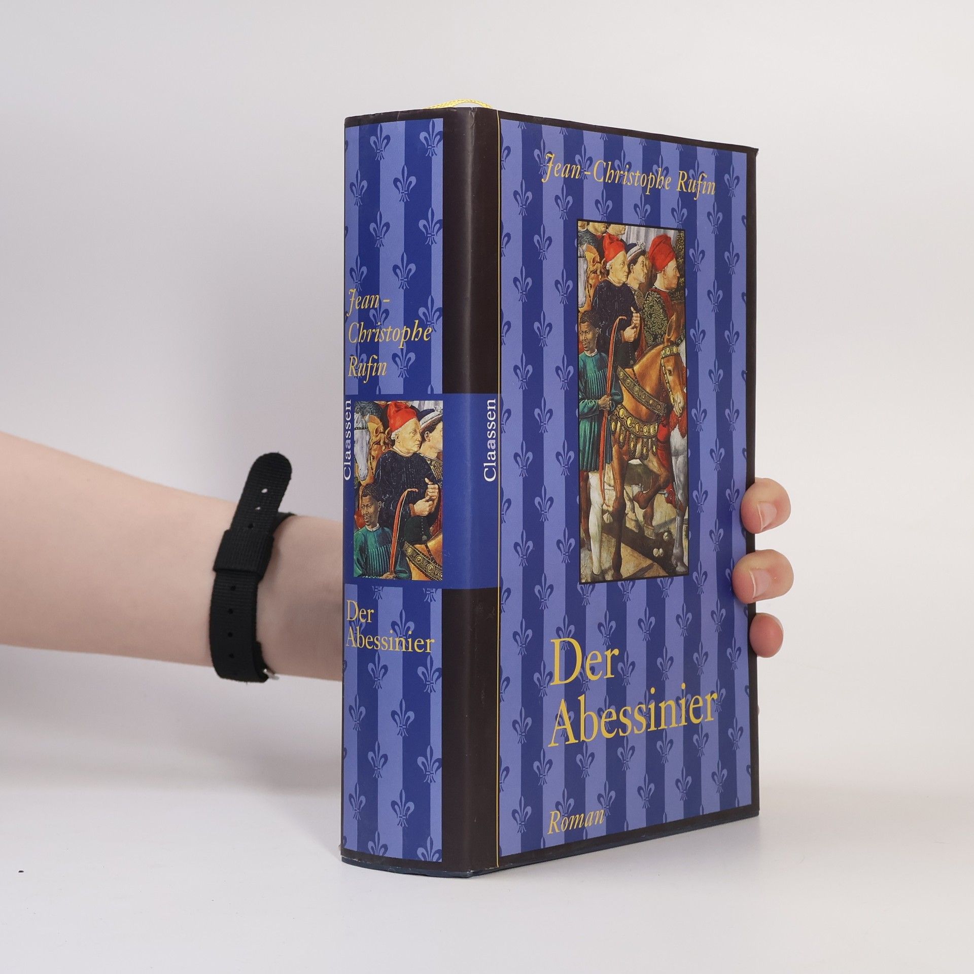 Jean-Christophe Rufin Der Abessinier
