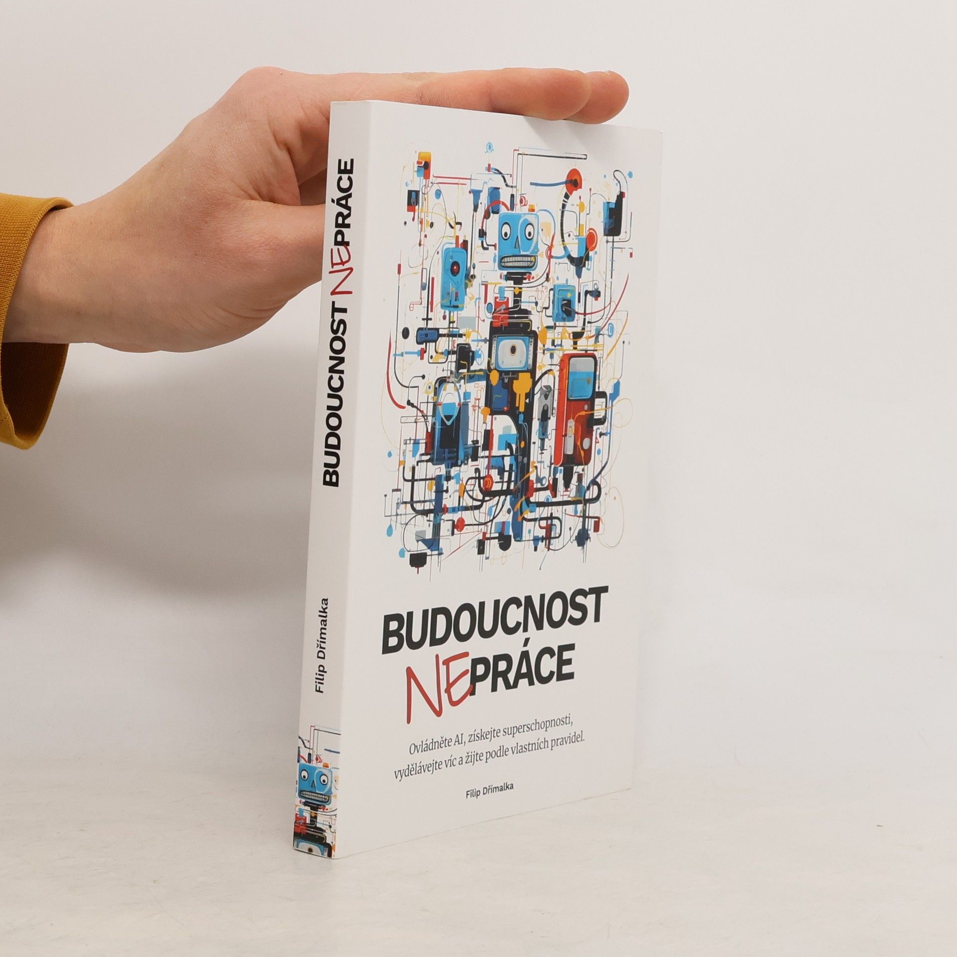 Filip Dřímalka Budoucnost nepráce