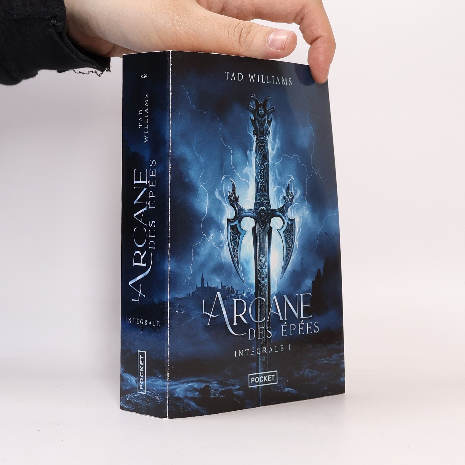 Tad Williams L'Arcane des épées - Intégrale 1