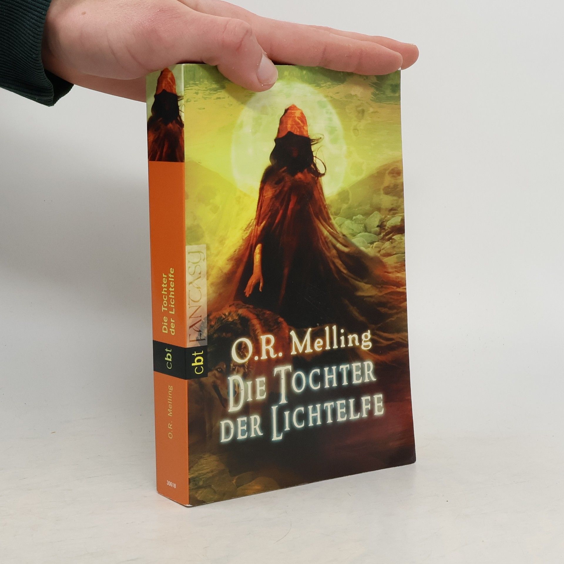 Die Tochter der Lichtelfe