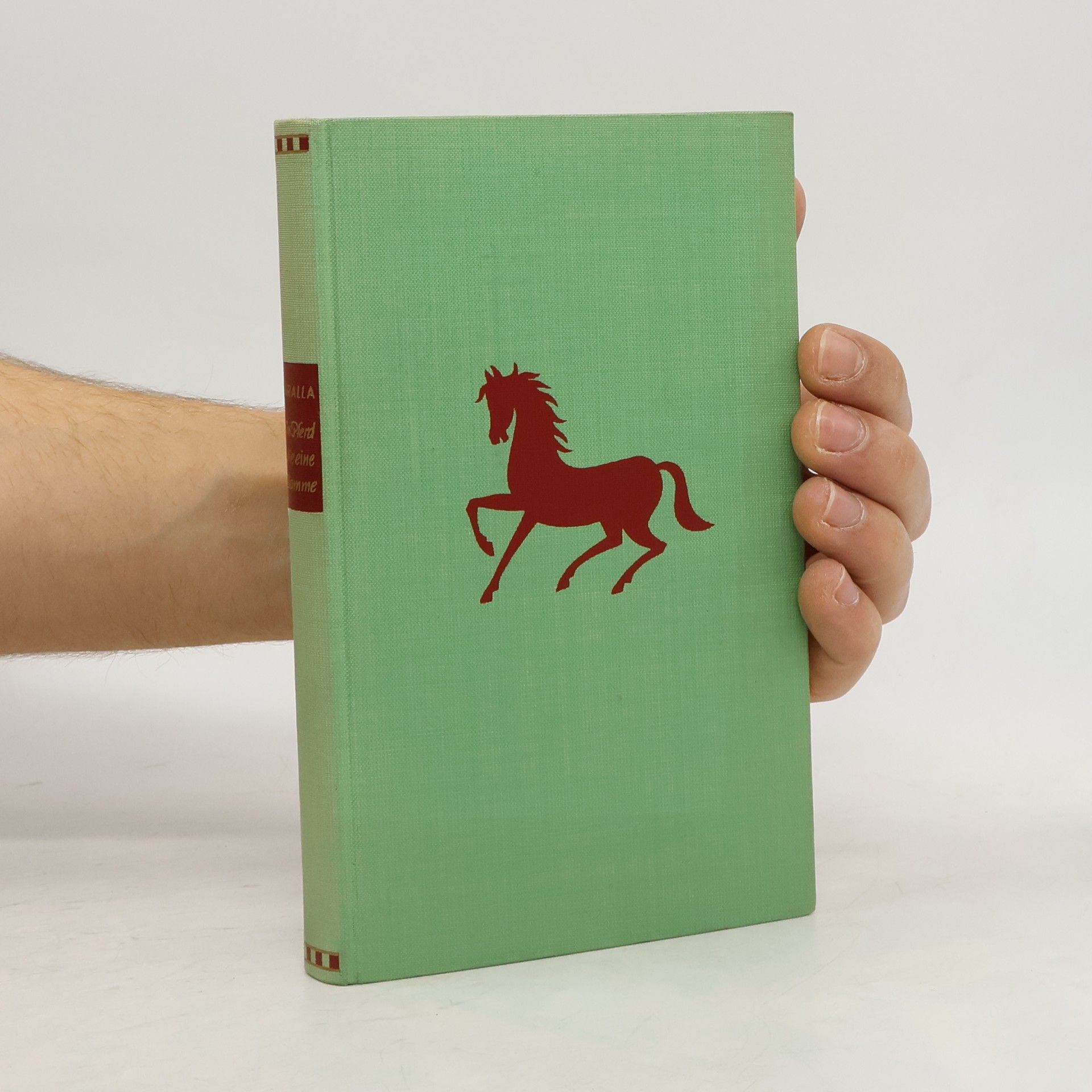 Dana Faralla Ein Pferd wie eine Flamme