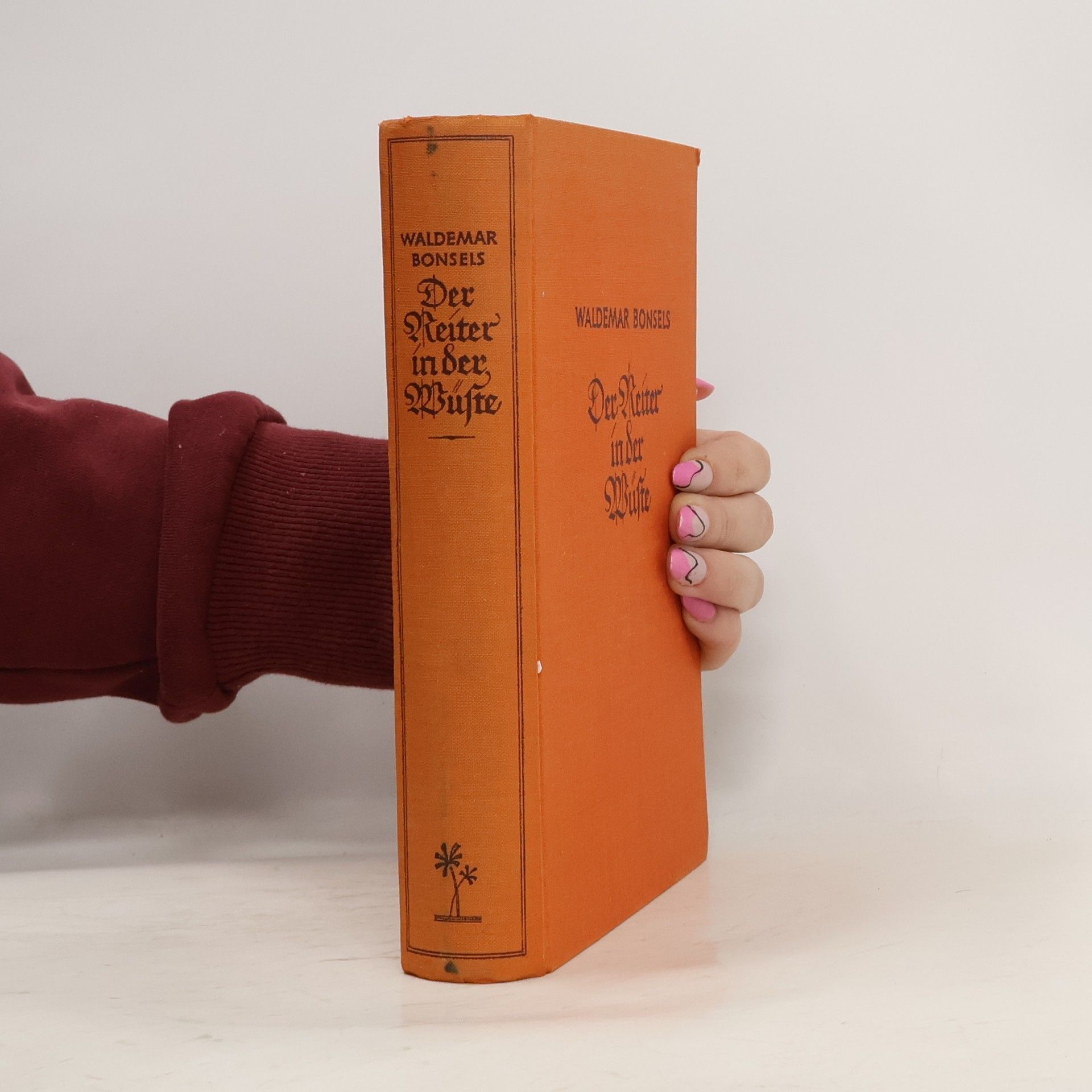 Waldemar Bonsels Der Reiter in der Wüste