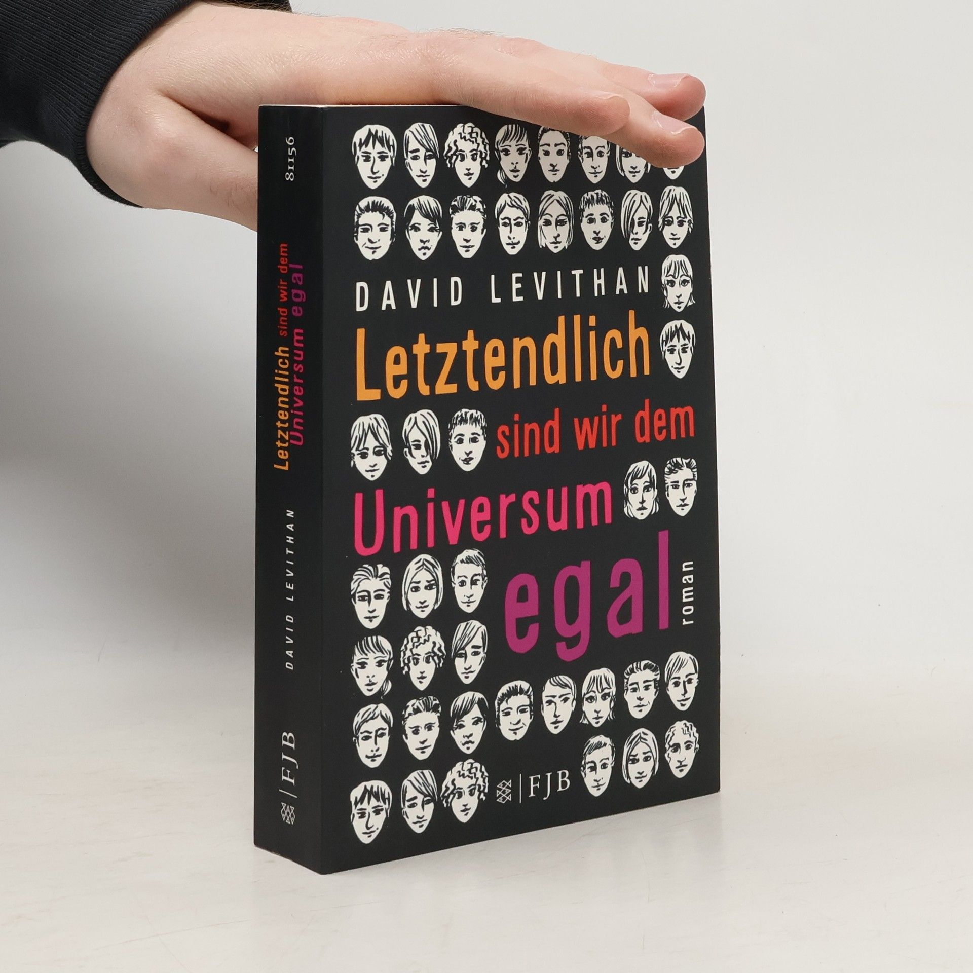 David Levithan Letztendlich sind wir dem Universum egal