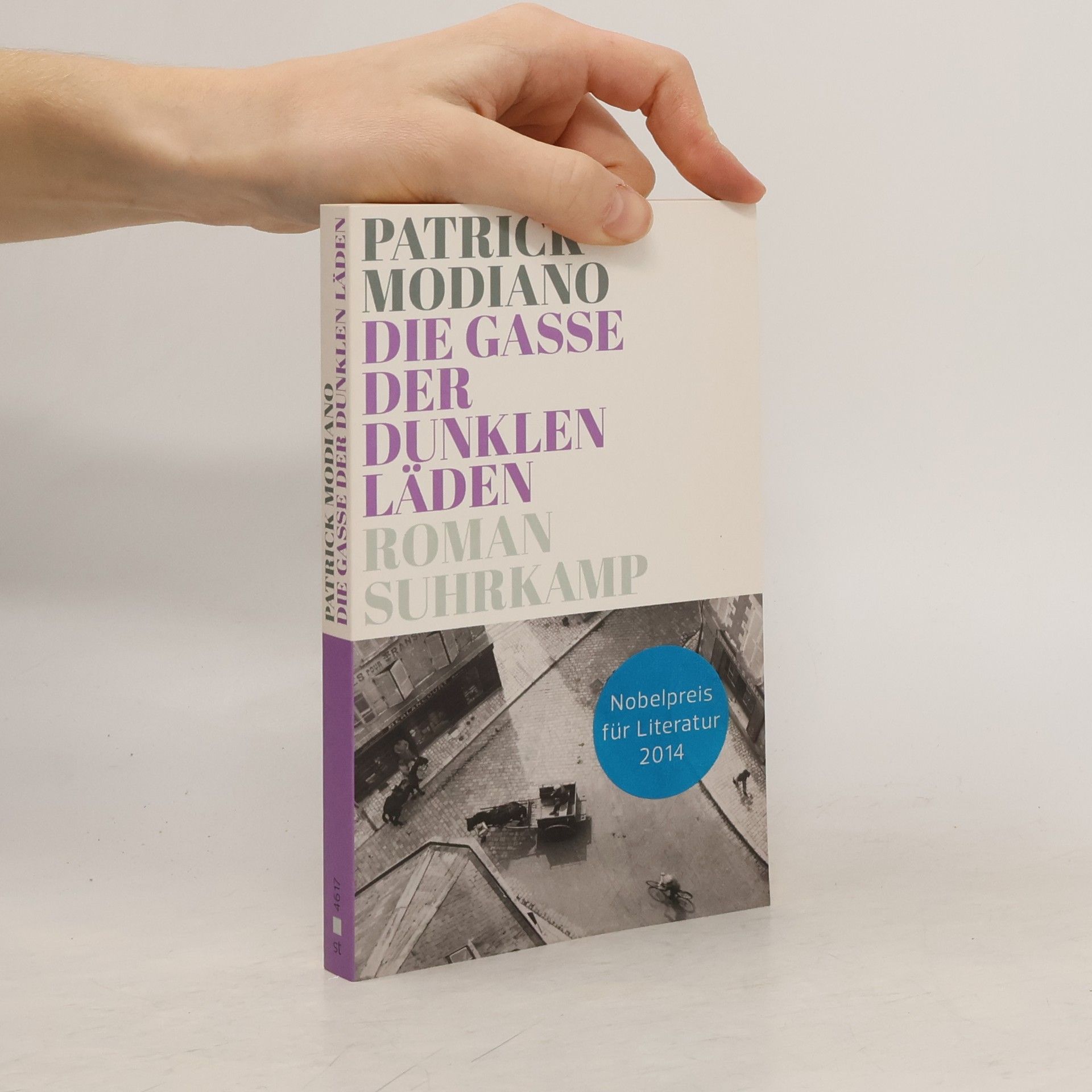 Patrick Modiano Die Gasse der dunklen Läden