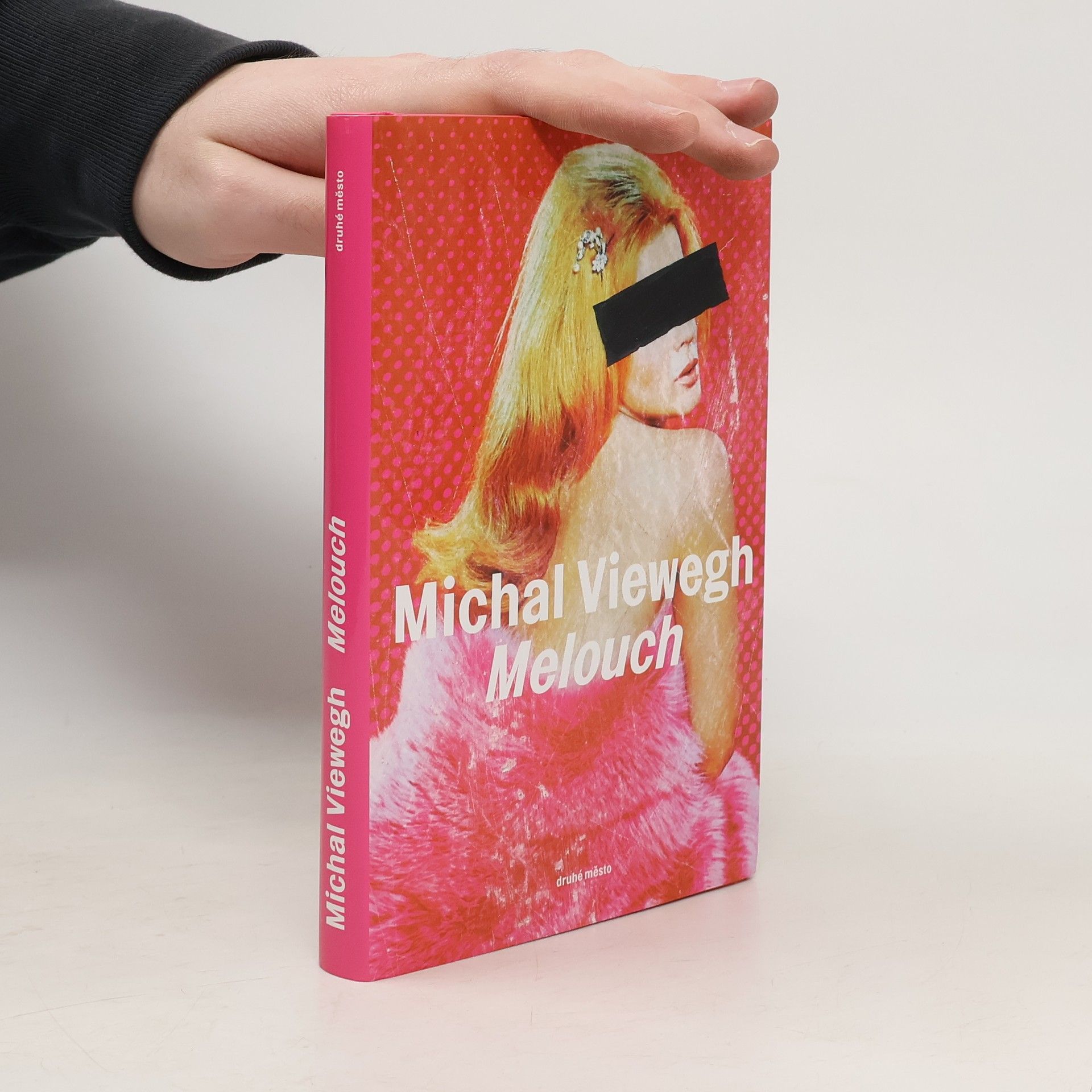 Michal Viewegh Melouch