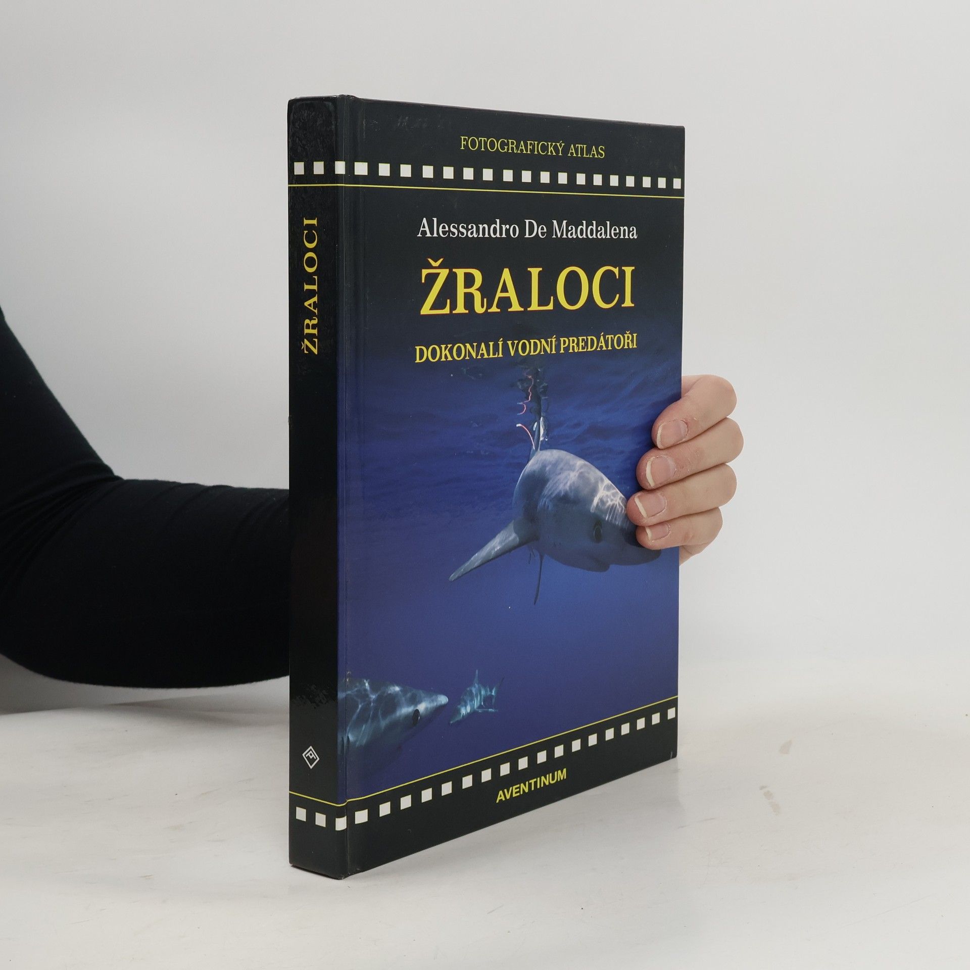 Žraloci: Dokonalí vodní predátoři