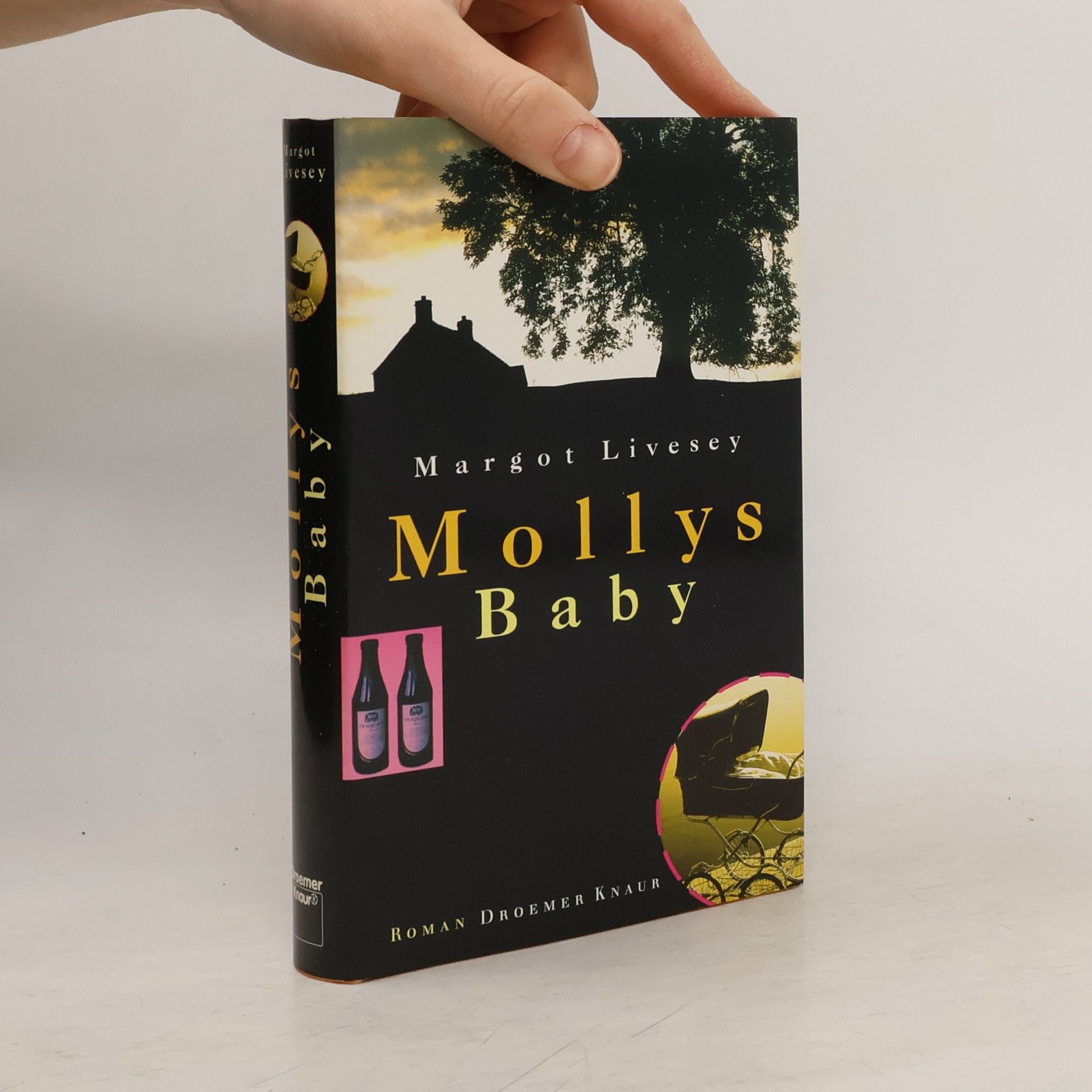 Margot Livesey Mollys Baby. Roman