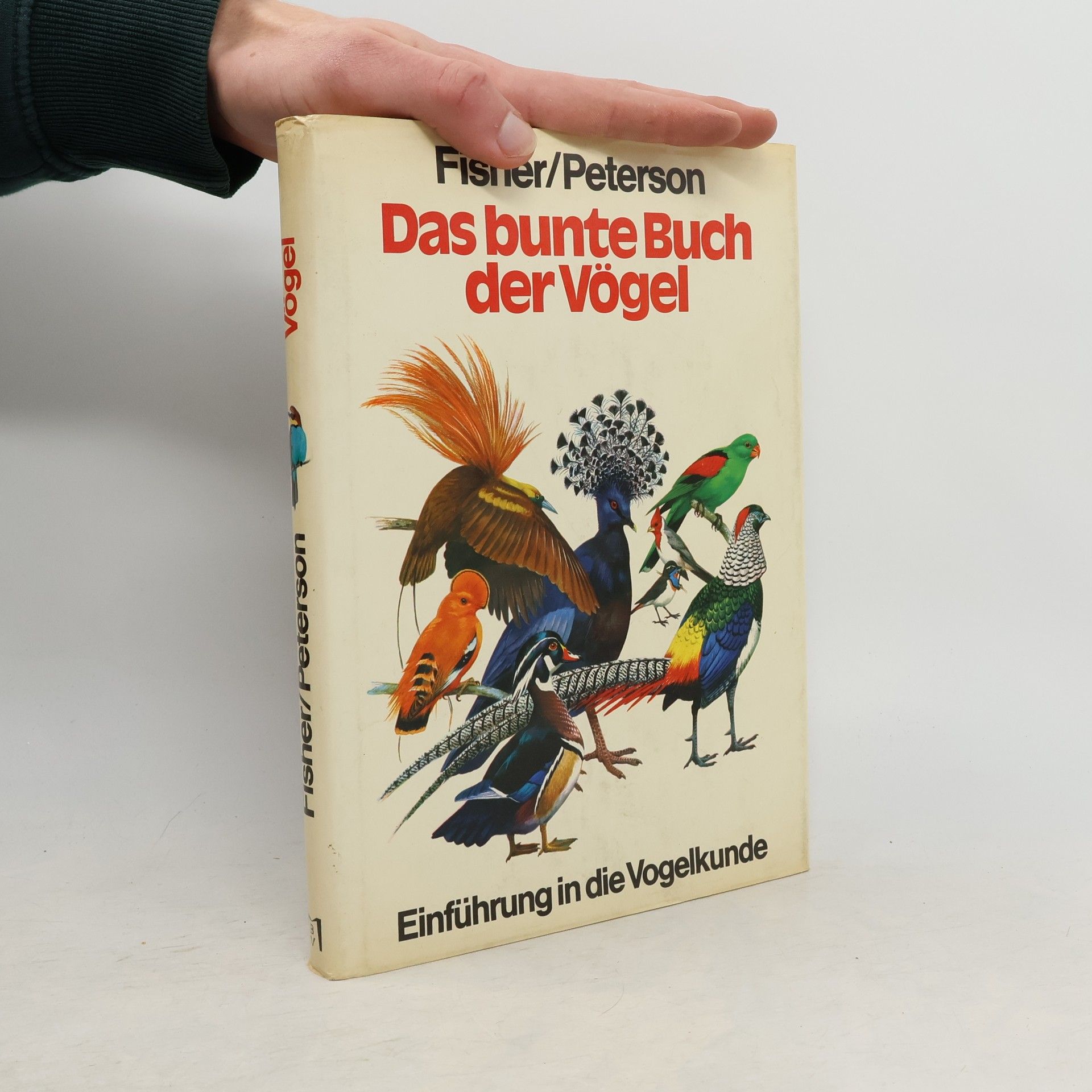 Autorenkollektiv Das bunte Buch der Vögel
