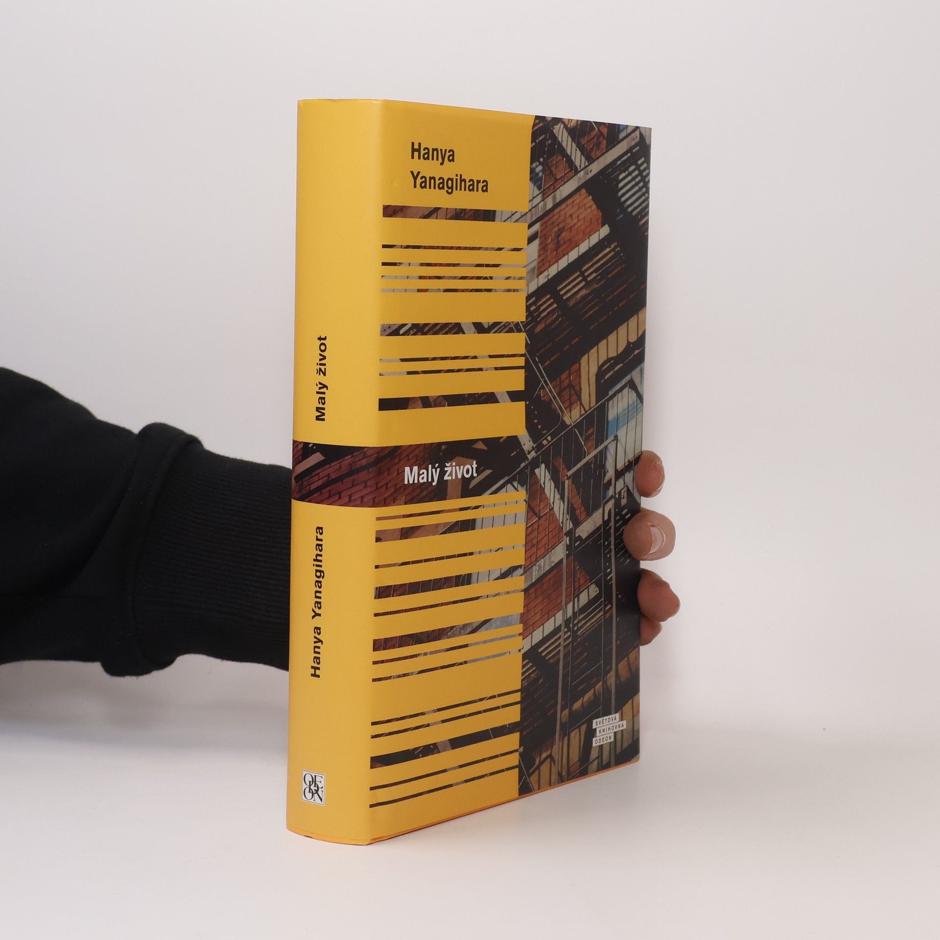 Hanya Yanagihara Malý život