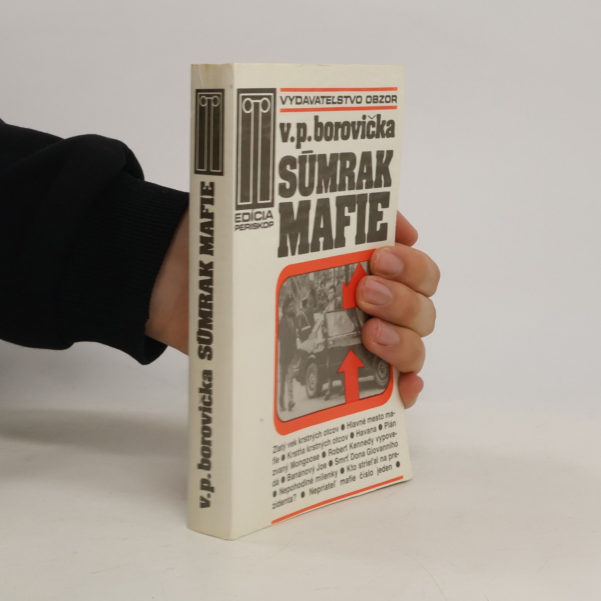 Václav Pavel Borovička Súmrak mafie