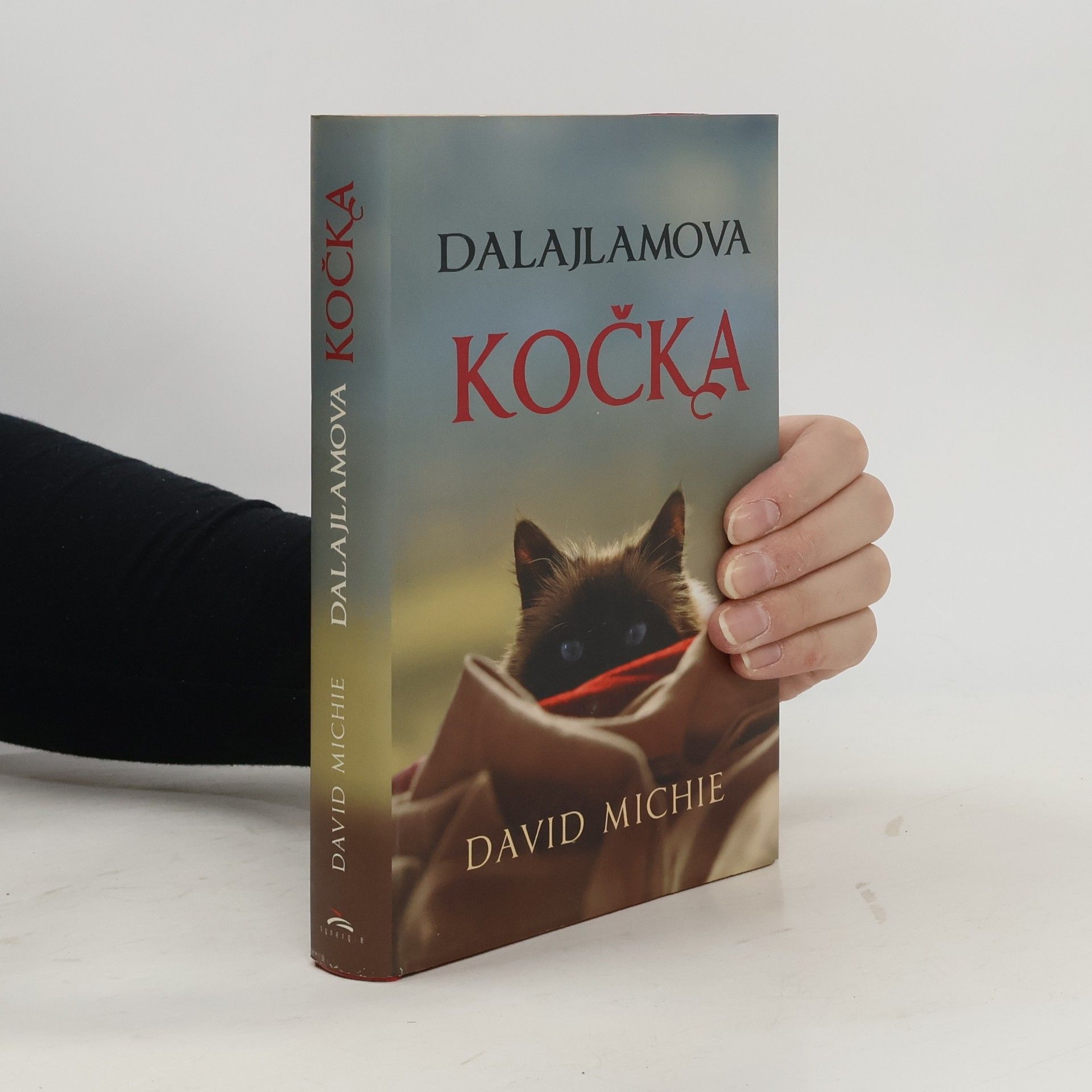 David Michie Dalajlamova kočka