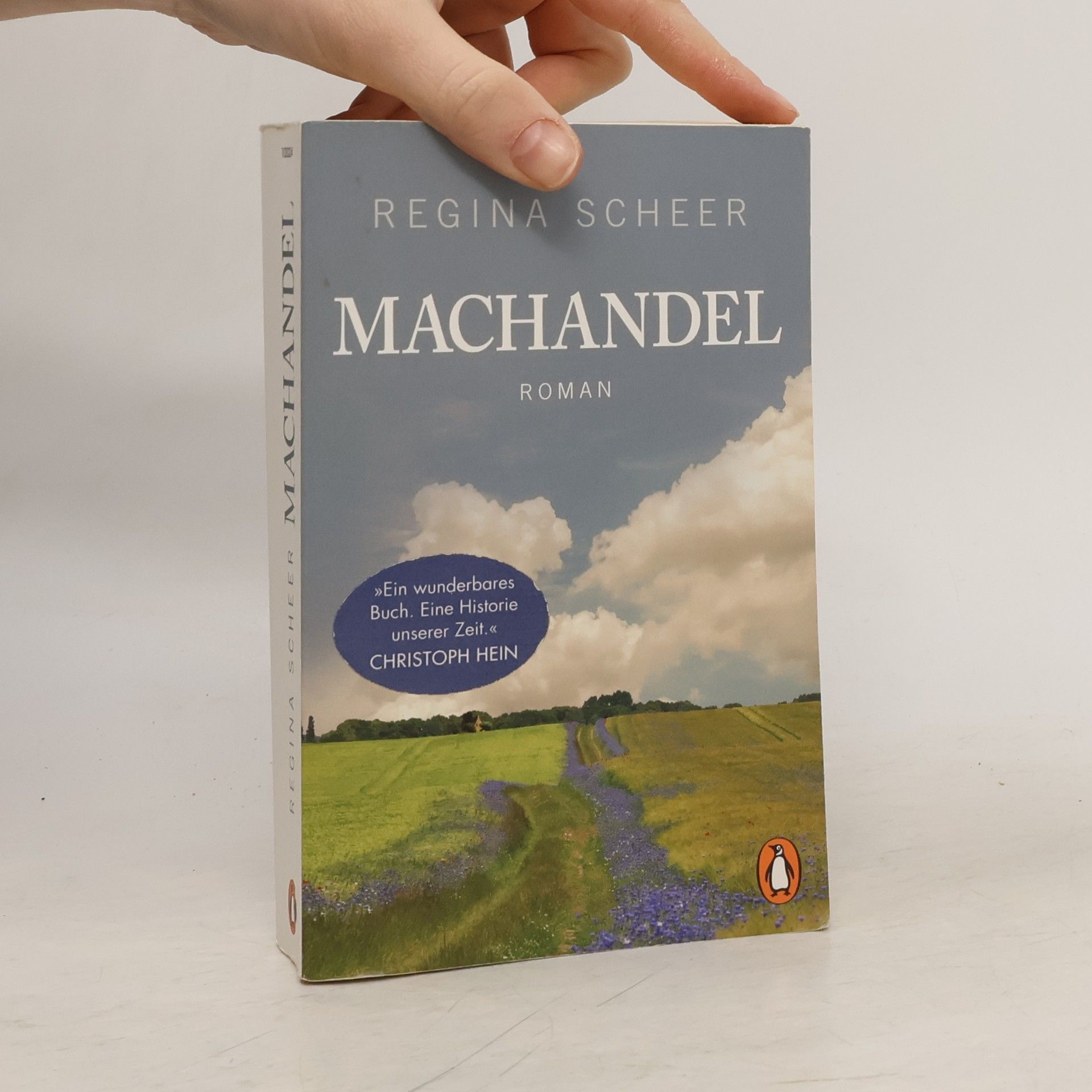 Regina Scheer Machandel